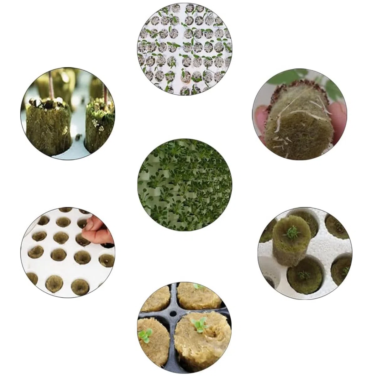 Tapones de Plantas de Lana de Roca 50 Piezas Lana de Roca de Cultivo Hidropónico Tapones de Arranque de Lana de Roca Tapones de Plantas de Lana de Roca Hidropónicos Cubos de Lana de Roca