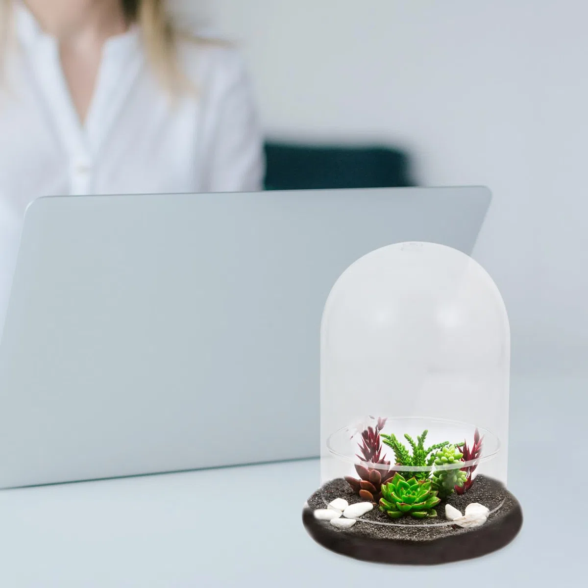 YARNOW CúPula De Cristal Pequeña - Terrario Plantas Campana, Ideal para Decorar Hogar, Oficina Y Regalos Creativos