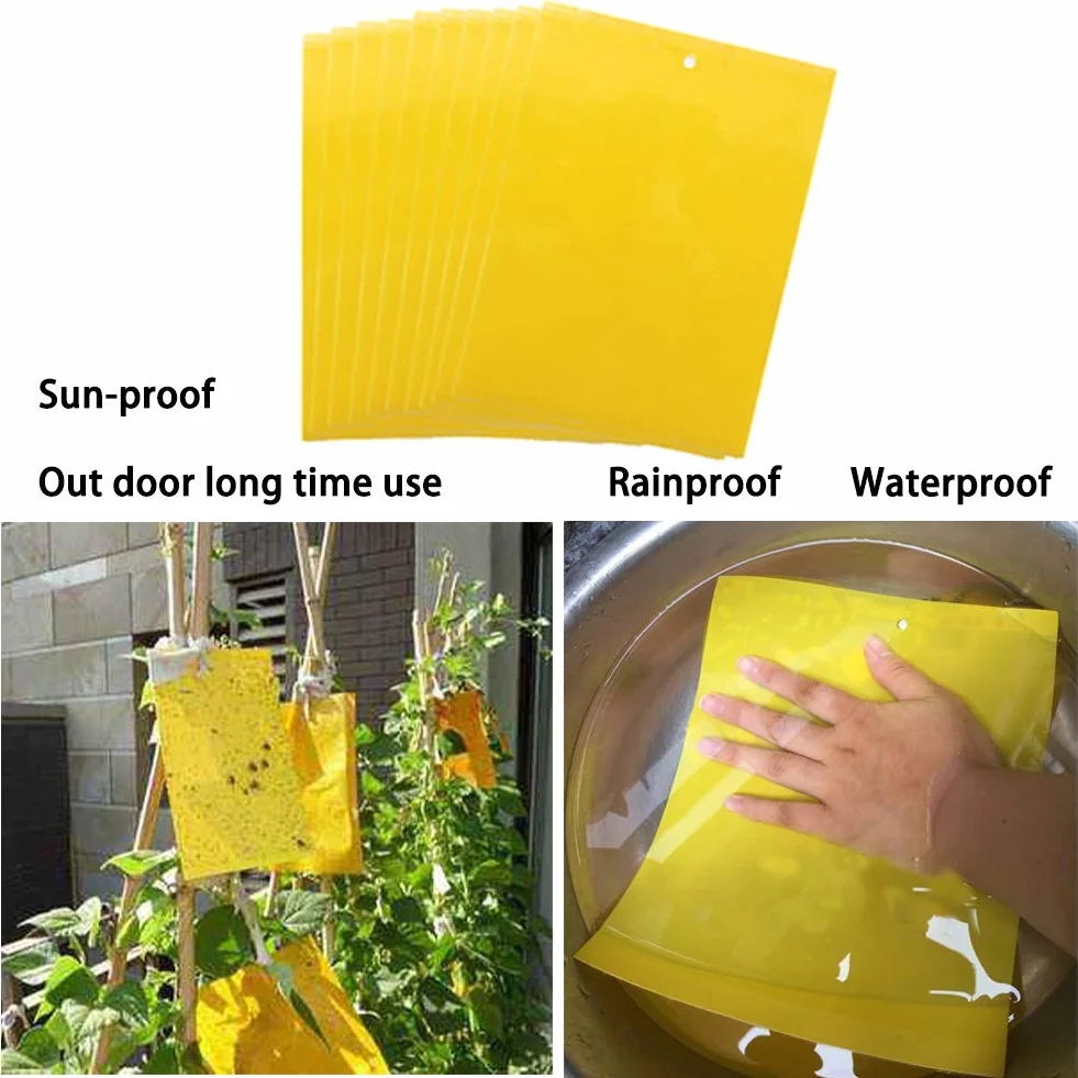 Panngu 100 Piezas Trampas Adhesivas, Trampas de Mosca pegajosas de Doble Cara Amarillas para como Mosquitos, pulgones, Moscas Blancas, Otros Insectos de Plantas voladoras (Se Incluyen Corbatas)