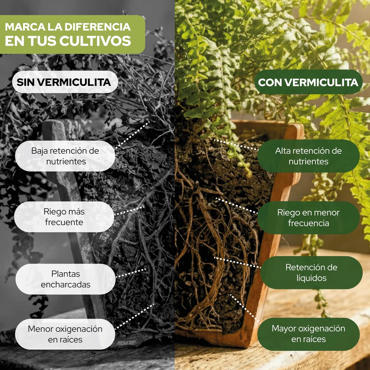 Control Garden Vermiculita 20L | Tierra para Plantas y Cultivos Interior y Exterior | Sustrato Natural para Semillas | Fabricado en España