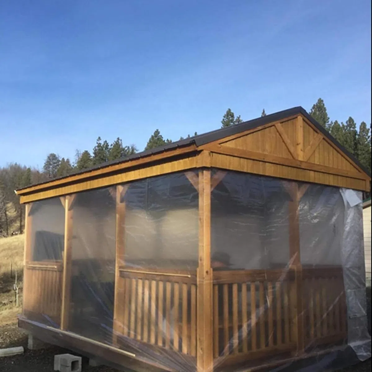 DAZZTIME 3 x 10M Plástico Invernadero Transparente,Cubierta Invernadero Plastico,Plasticos para Invernaderos,para Proyectos Industriales, Residenciales, Agricultura, Mampostería(200Mu/1000G)