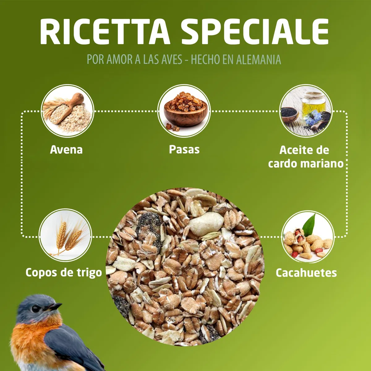 Eggersmann volaris Comida para pájaros silvestres durante todo el año, 3 kg [granos de grasa] Comida para aves silvestres durante todo el año | pienso difuso rico en grasa para todo tipo de aves