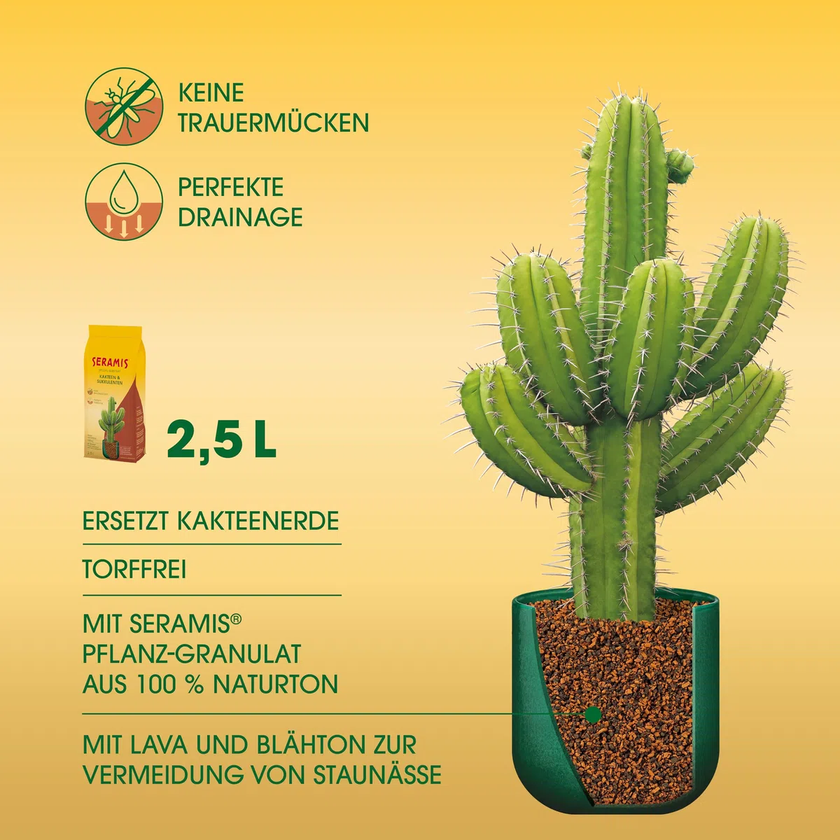 Seramis 731755 Sustrato Especial para Cactus y suculentas, Arcilla expandida, Sustituto para Tierra de Cactus para el Almacenamiento de nutrientes