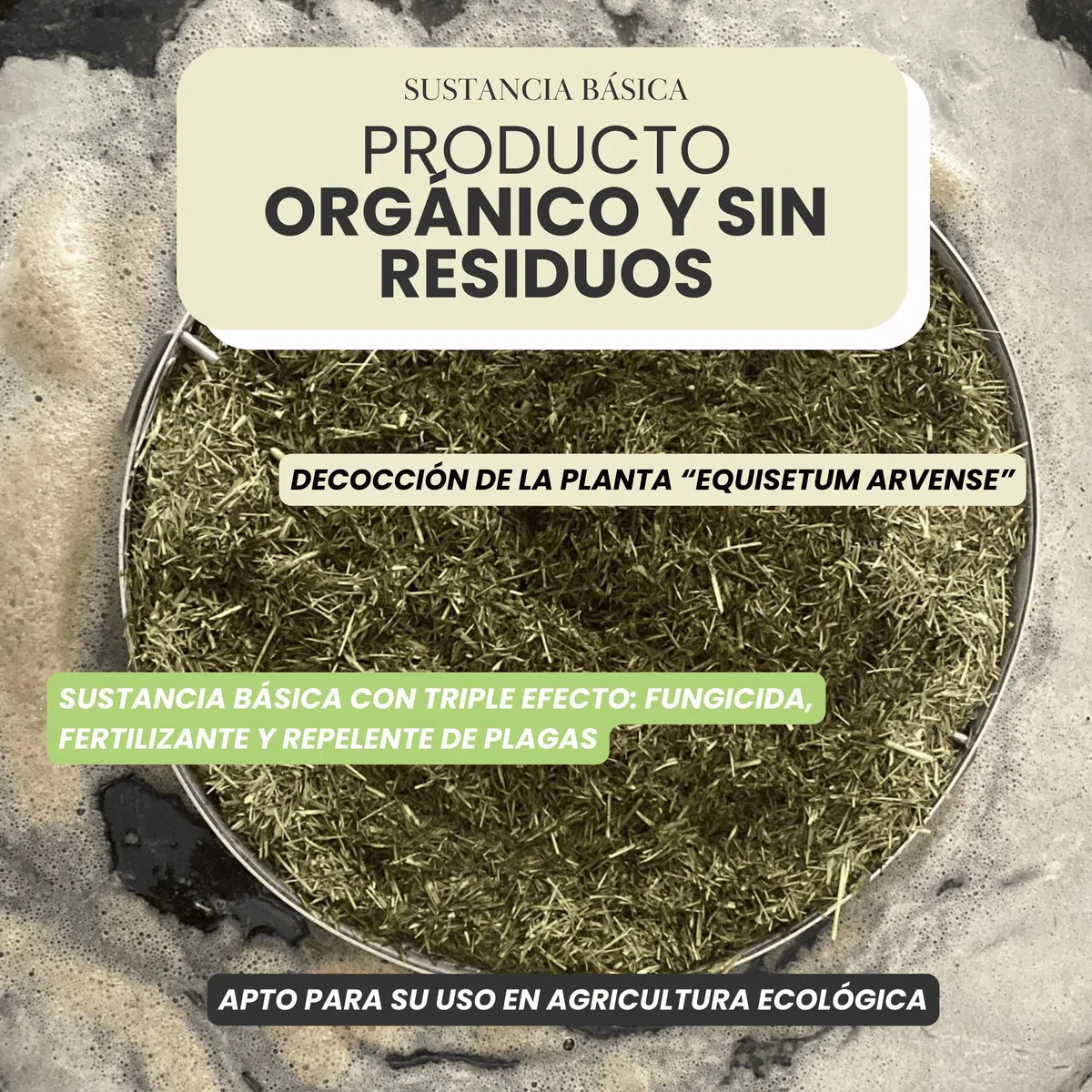 Cola de Caballo Fungicida 5L – Preventivo y Curativo para Plantas - Muy Concentrado 30ml/L – Bioestimulante Plantas de Interior y Huerto Urbano – Controla Hongos como Mildiu, Oídio (5L)