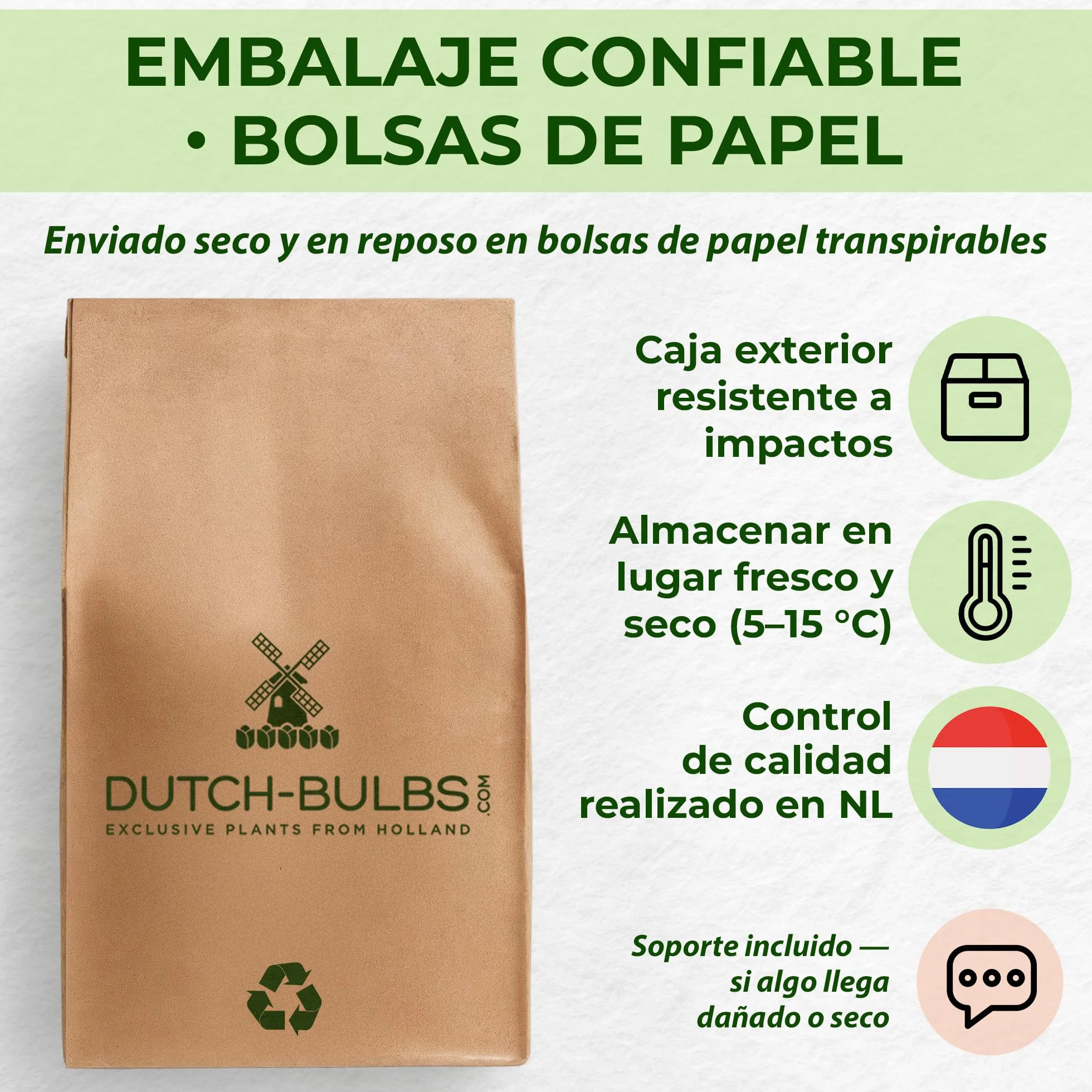 Colección de plantas perennes fragantes de Hosta, mezcla de Hosta de 5 híbridos en 5 variedades, grandes plantas perennes de raíz desnuda Funkia de Holanda,Plantas resistentes para el jardín de sombra