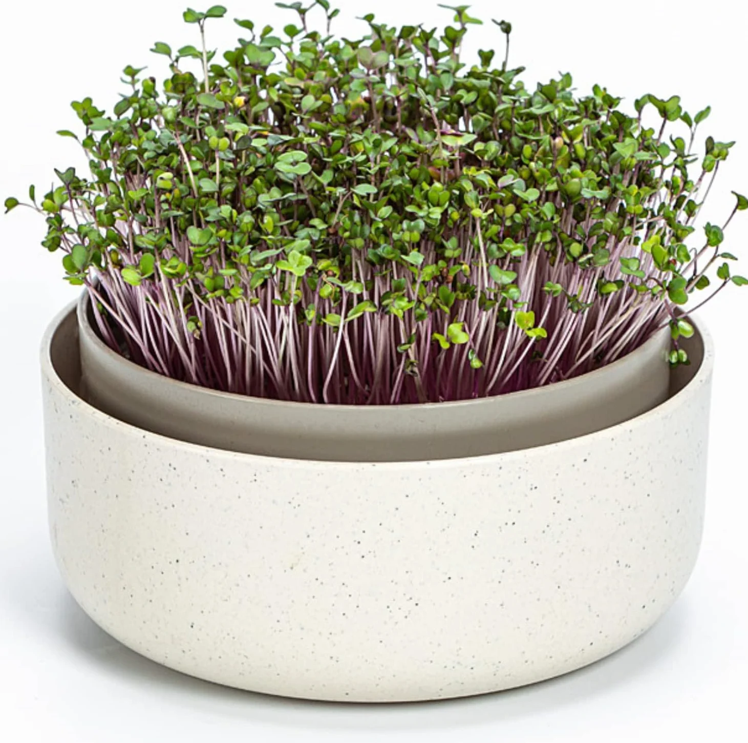 Urbalive - Cuenco Grande de 16 cm para brotes, Semillas, microgreens – Diseño colador de plástico – Germsprossenbox germinador con Mezcla de café