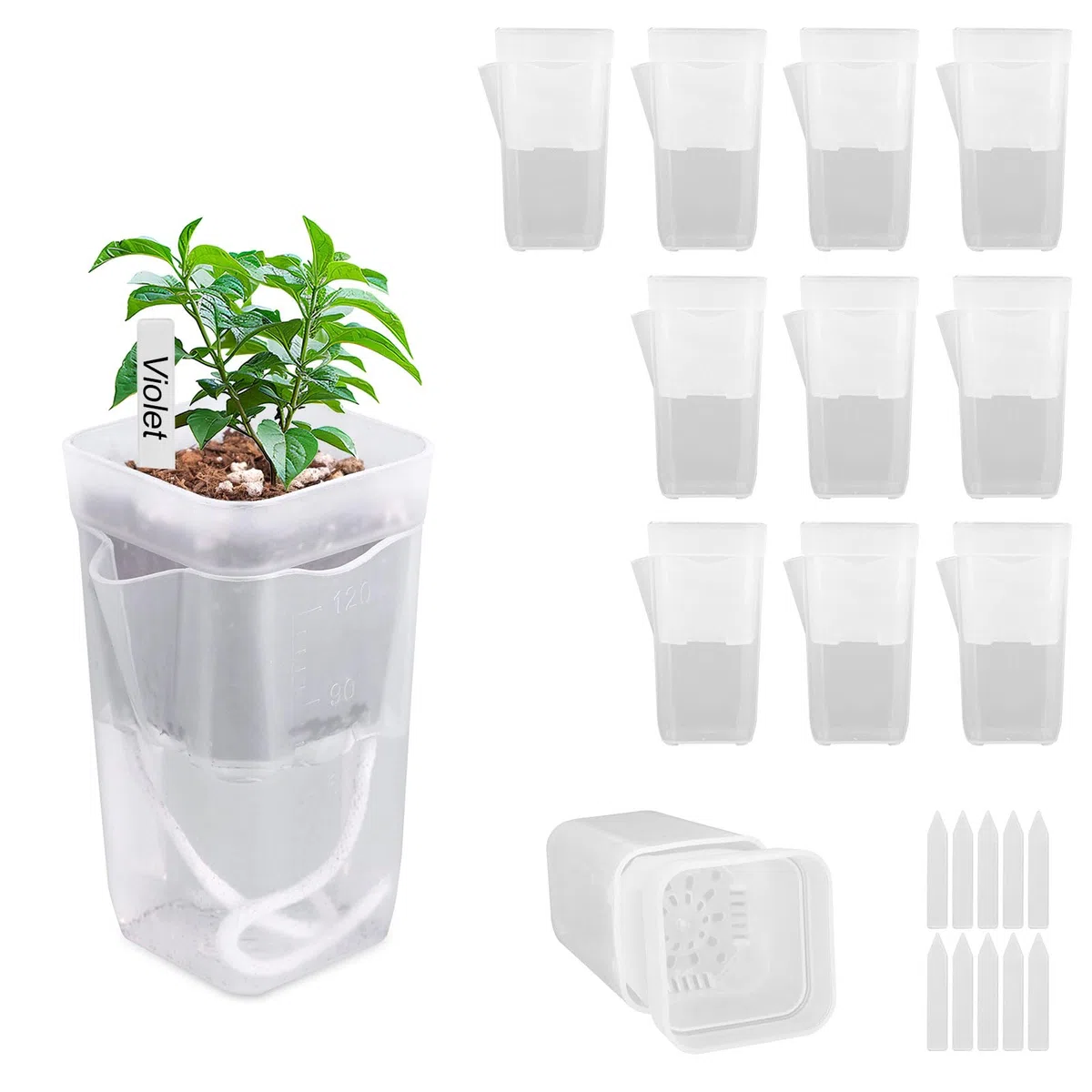 10uds 5cm Mini Vasi Autoirriganti con Etiquetas y Mecha, Plástico Transparente con Orificios Drenaje e Indicador Nivel Agua para Plantas Interior Propagación Alocasia y Violetas Africanas