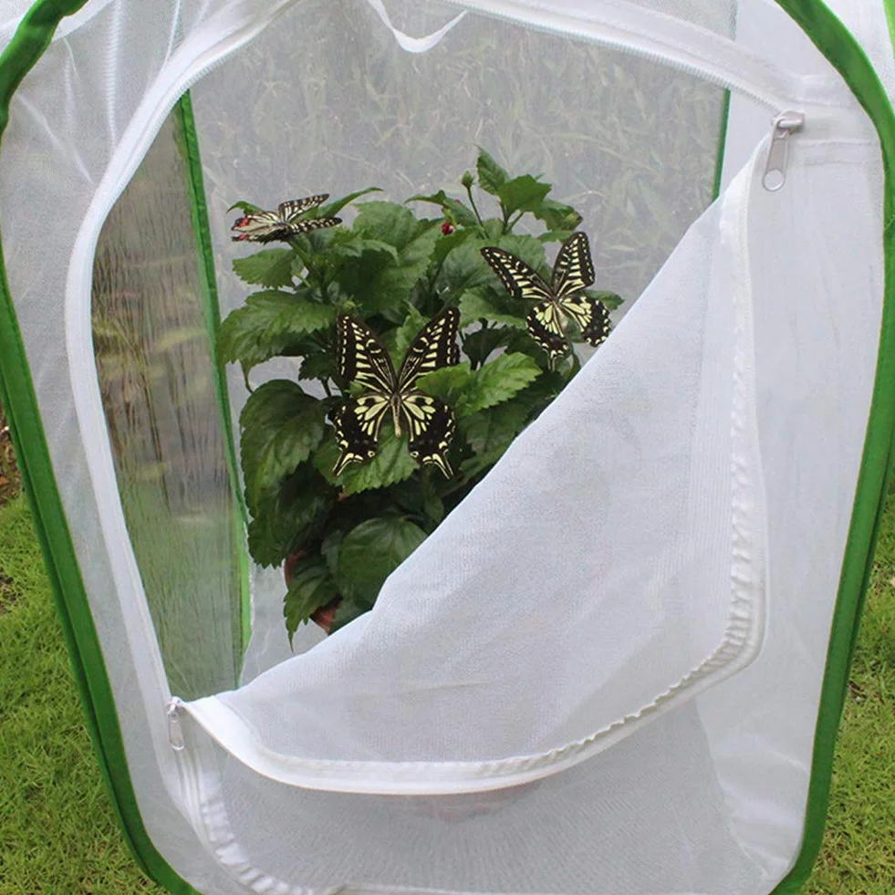 Kisbeibi Jaula de insectos translúcida red mariposa hábitat jaula planta invernadero tienda plegable protección jardín mariposa (tamaño: M,15,74 x 15,74 x 23,62 pulgadas)
