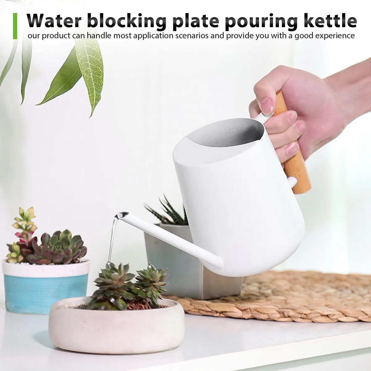 Regadera blanca para plantas de interior, 1 l, de acero inoxidable, con boquilla larga y mango de madera, para plantas suculentas, macetas y flores