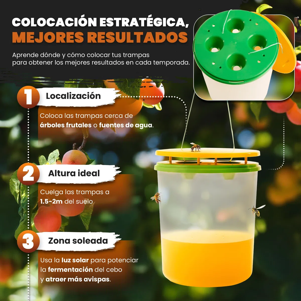 2 Trampas para Avispas - Trampa Grande Profesional Avispa Asiática Vespa Velutina Avispón - Trampa sin Cebo Atrayente | Colgar Jardín Exterior Reutilizable