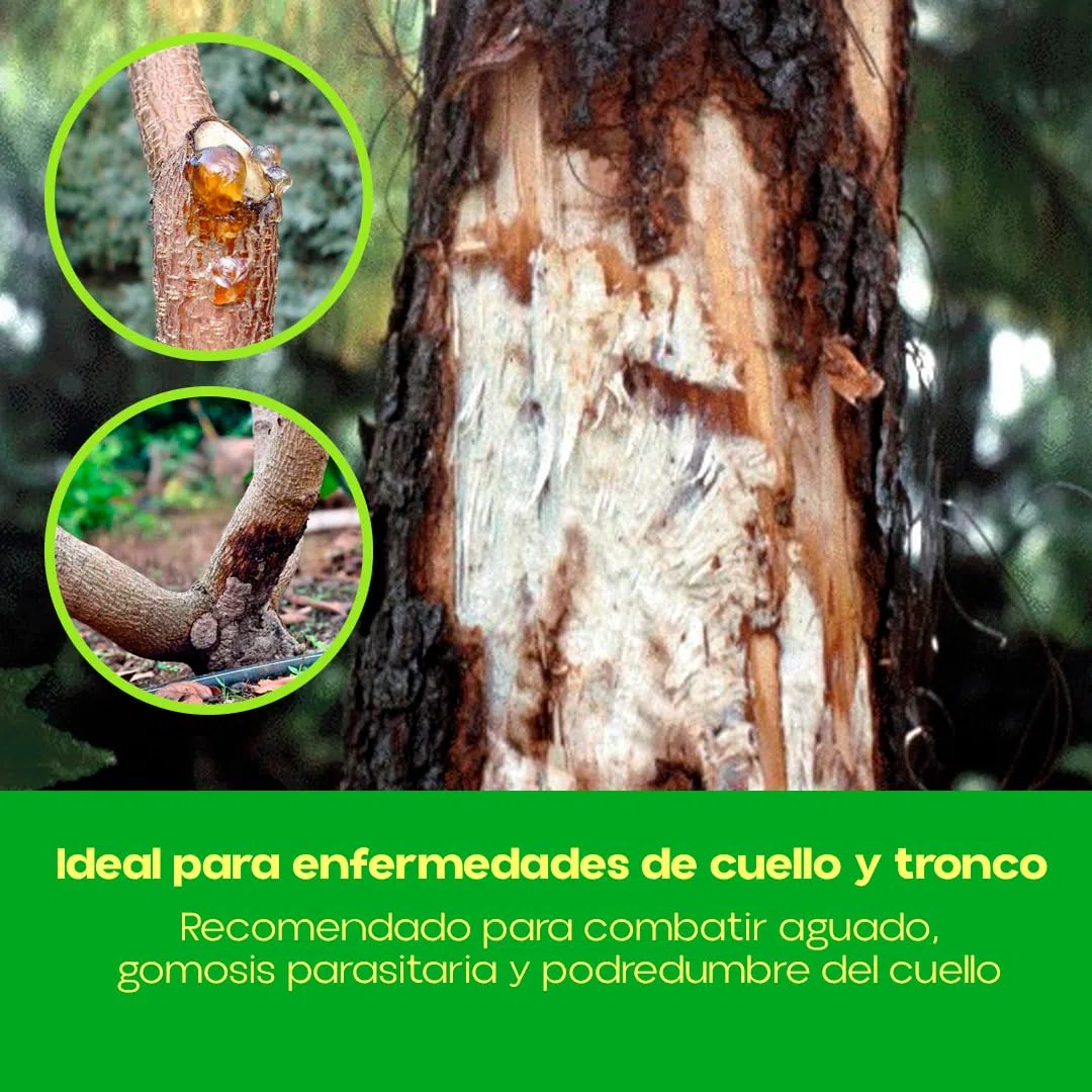 Fungicida Sistémico Fosetil-Al 80% 100 g | Acción Preventiva y Curativa contra Fitóftora y Gomosis | Protección de Raíces, Tronco y Cuello | Control de Oomicetos en Plantas | Eficaz | Nexum Market