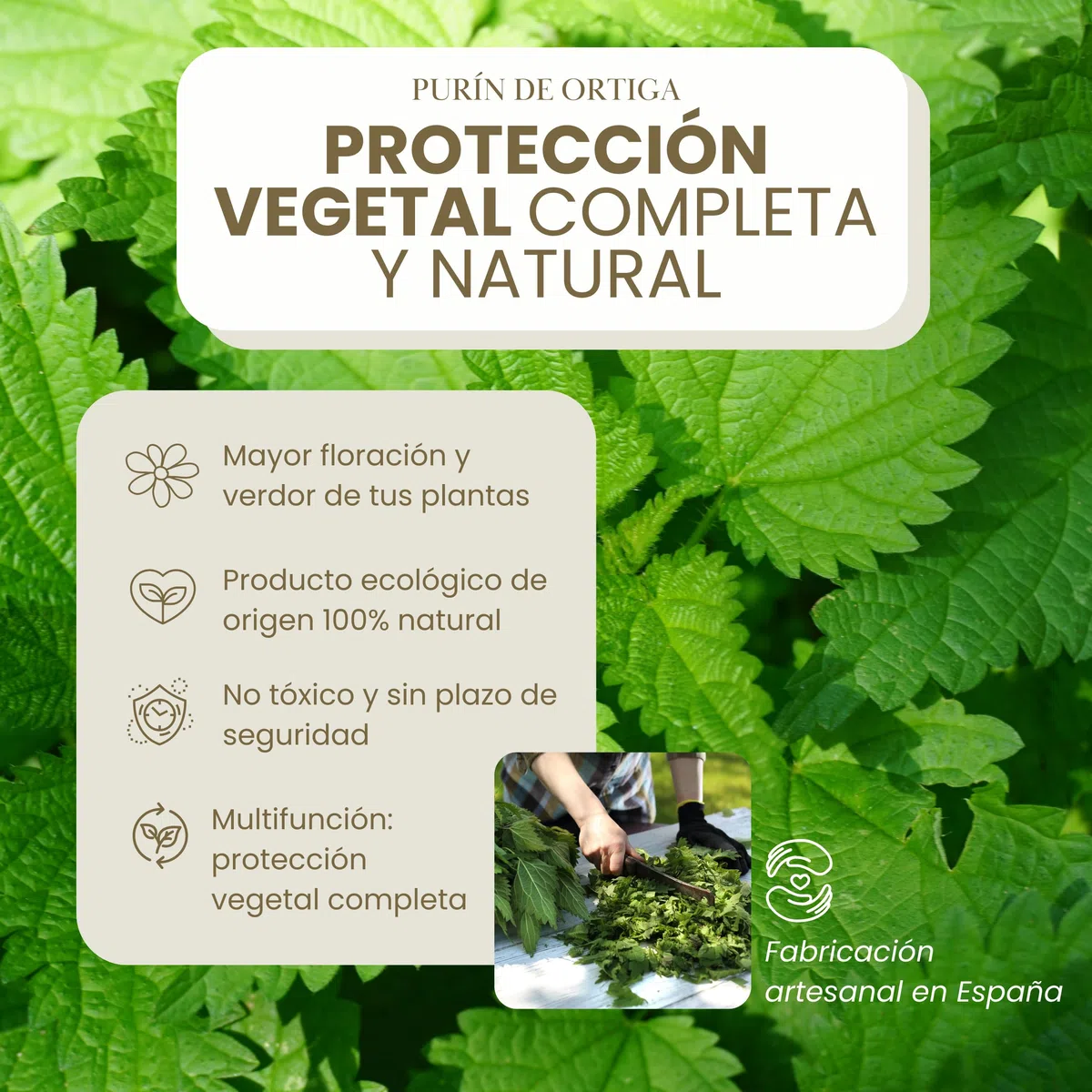 Purín de Ortiga Concentrado para Plantas 5L - Acción Fungicida, Insecticida y Acaricida - Dosis 15-30ml/L - Corrector de Carencias Hierro (Clorosis Férrica) - Control de Plagas y Hongos (5L)