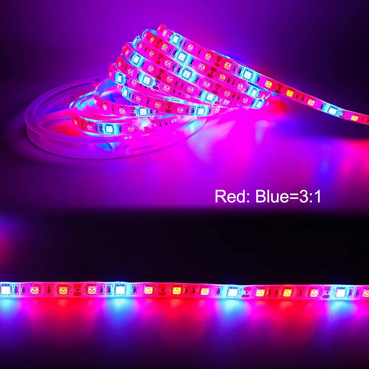 LED planta crecer tira luz DC 12V IP65 impermeable espectro completo SMD 5050 rojo azul 3: 1 cuerda luz para acuario Invernadero plantas