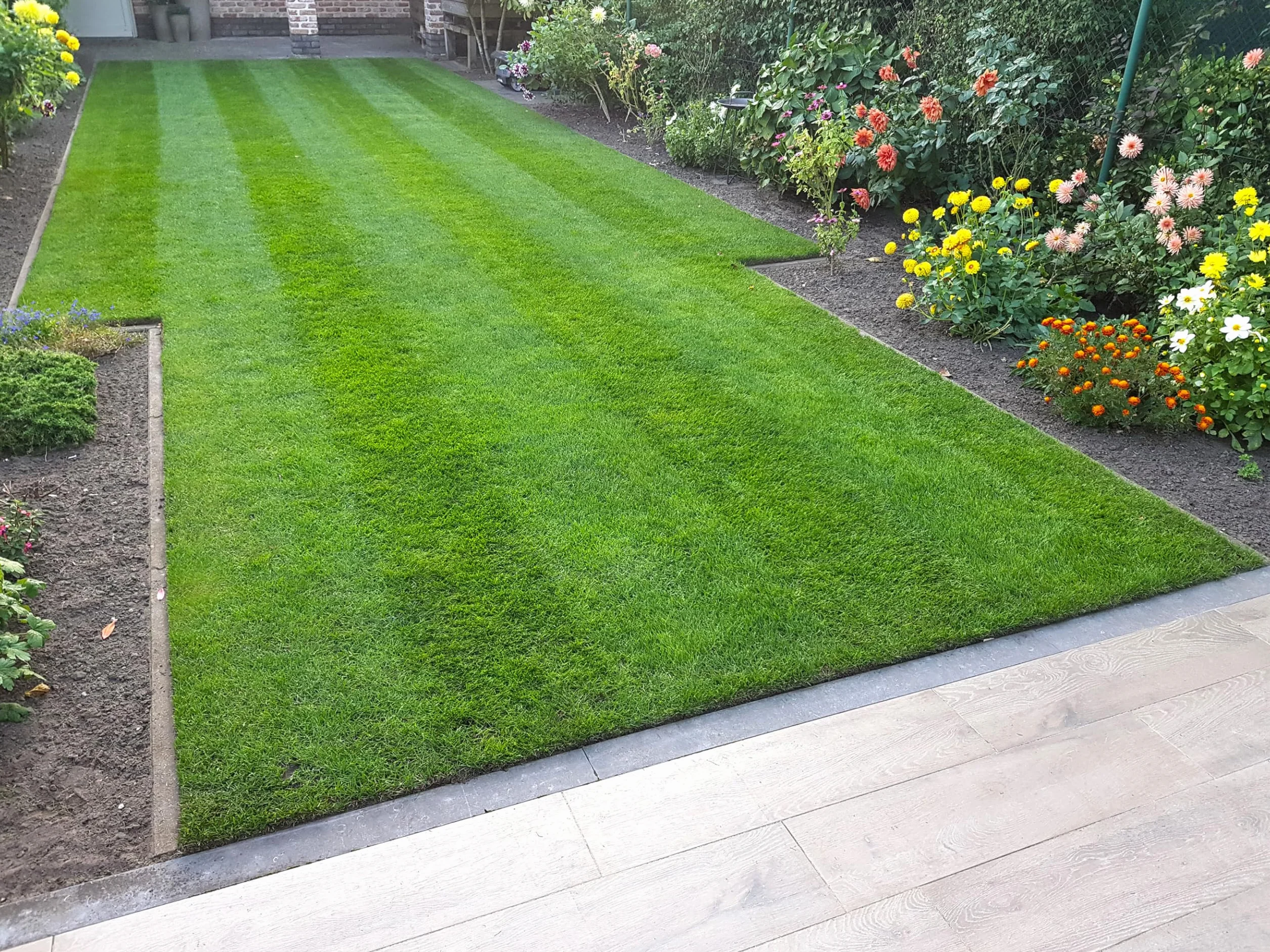 MOOWY Power Lawn 50m²