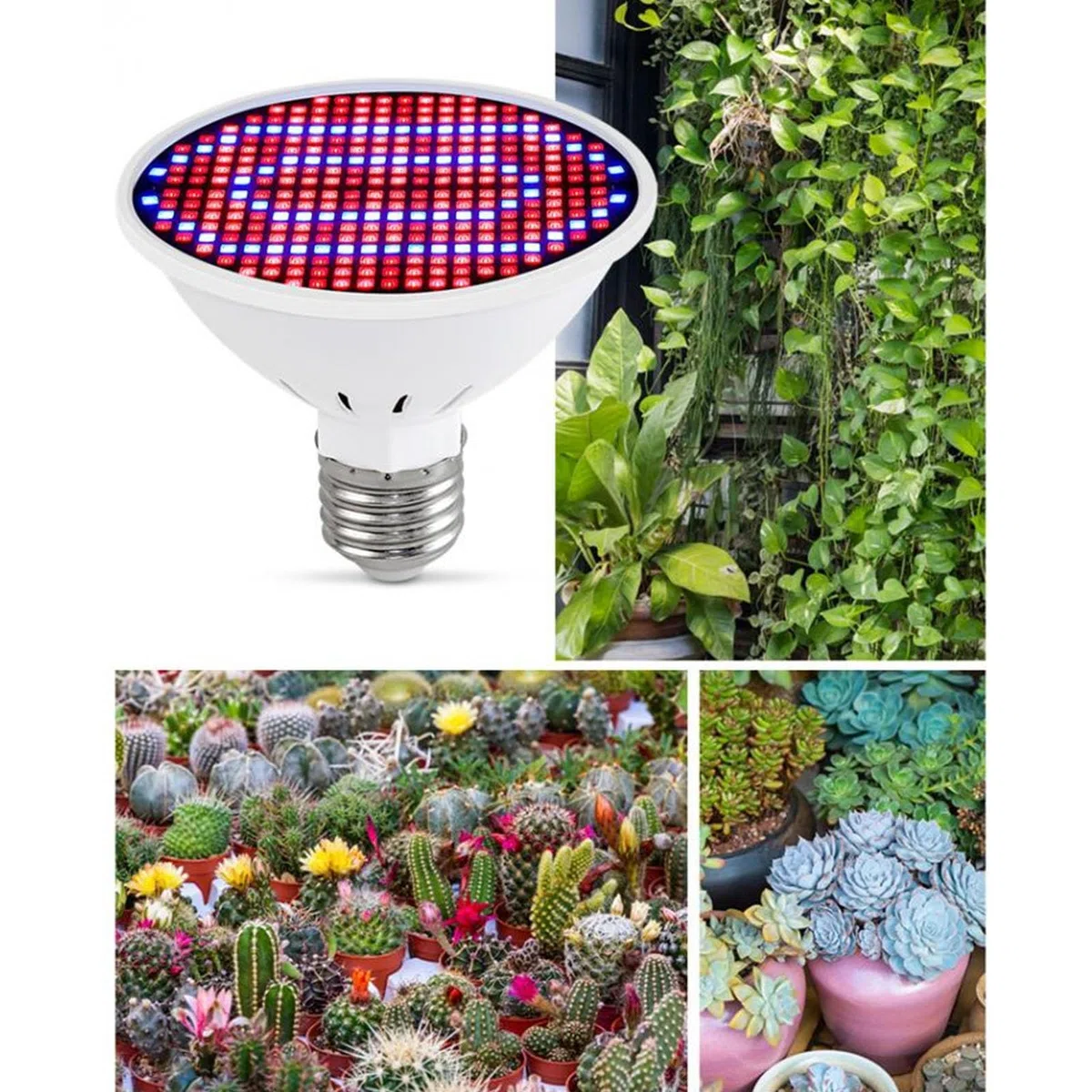 Alomejor Fuente de Luz LED de Múltiples ángulos, Bombilla de Cultivo de 300 LED, Espectro Rojo y Azul para Inicio de Semillas de Plantas de Interior