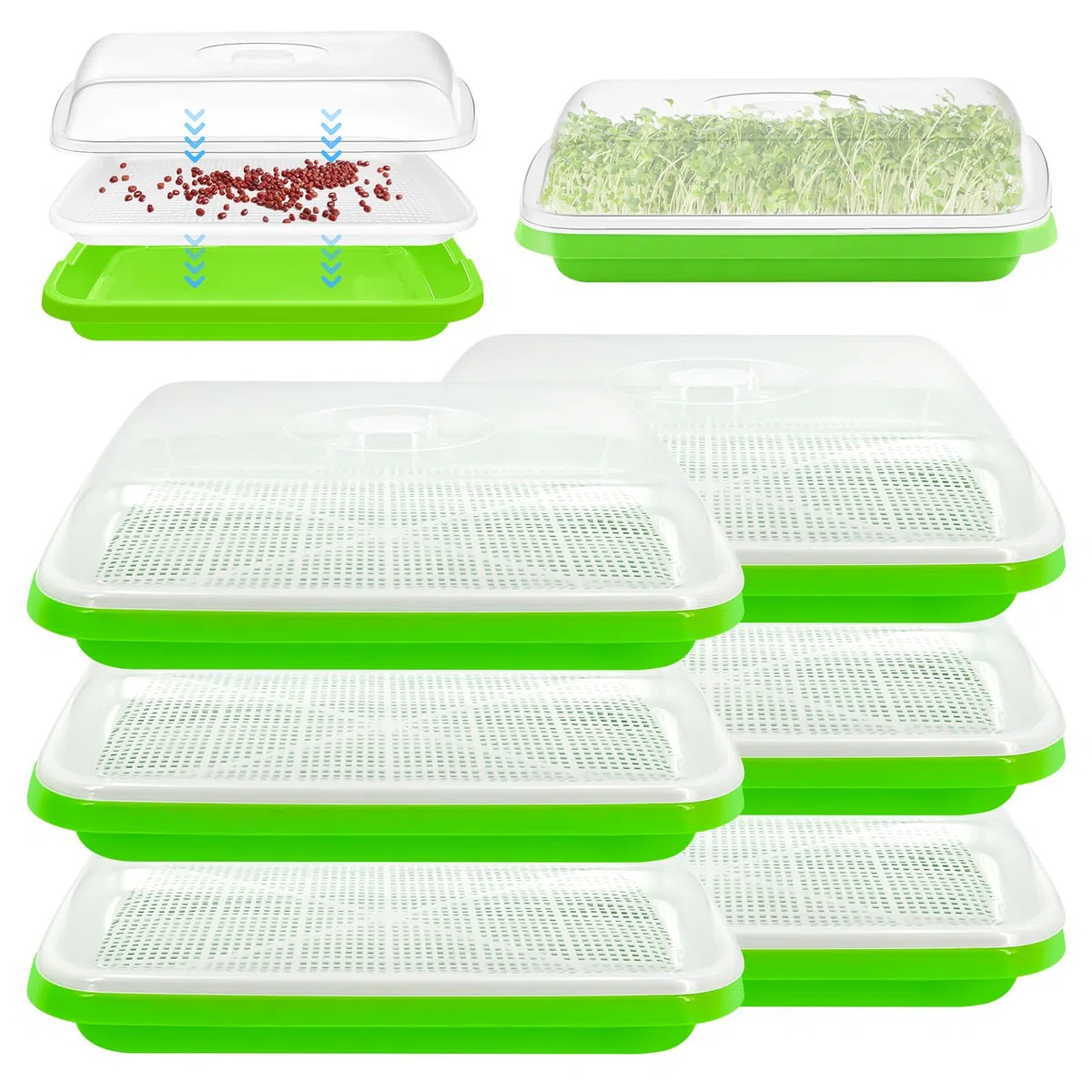 Bandejas para germinar brotes de berro: 6 unidades de bandeja de semillas para germinar brotes con tapa para hidropónico, bandeja de germinación de semillas grandes, bandeja para germinación de