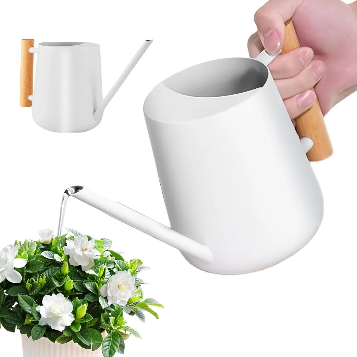 Regadera blanca para plantas de interior, 1 l, de acero inoxidable, con boquilla larga y mango de madera, para plantas suculentas, macetas y flores