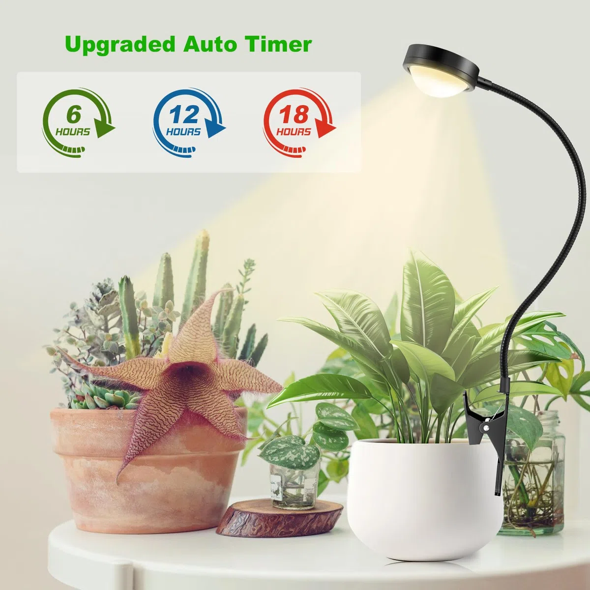 Lámpara de Plantas con Lente Óptica Luz de Crecimiento con 6/12/18H Temporizador Lámpara de Cultivo de Espectro Completo 4000K Luz para Plantas con Clip Grow Light para Plantas Pequeñas