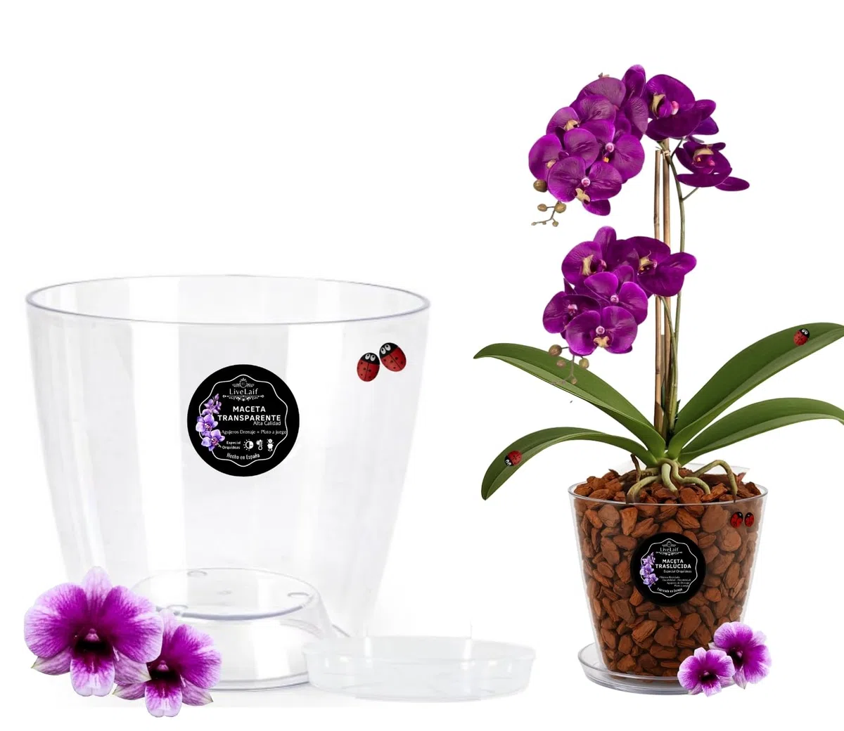 Maceta orquidea Transparente Redonda Tipo Oval Ø16 cm + Plato Transparente | Maceta Transparente orquidea con Agujeros Drenaje, Efecto Vidrio | Tambien como Cubremaceta | Hecha en España