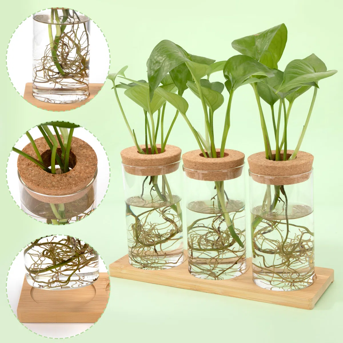 Estación de propagación de plantas macetas para plantas hidropónicas con corcho base de madera para casa oficina 3 piezas