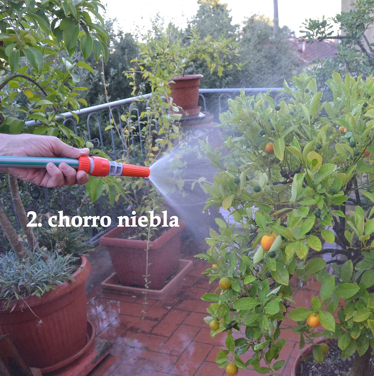Siroflex 4550/AS Kit de Riego para Jardín con Lanza y Conectores Rápidos 1/2", Adaptador Grifo 3/4", Set Completo para Manguera, Made in Italy
