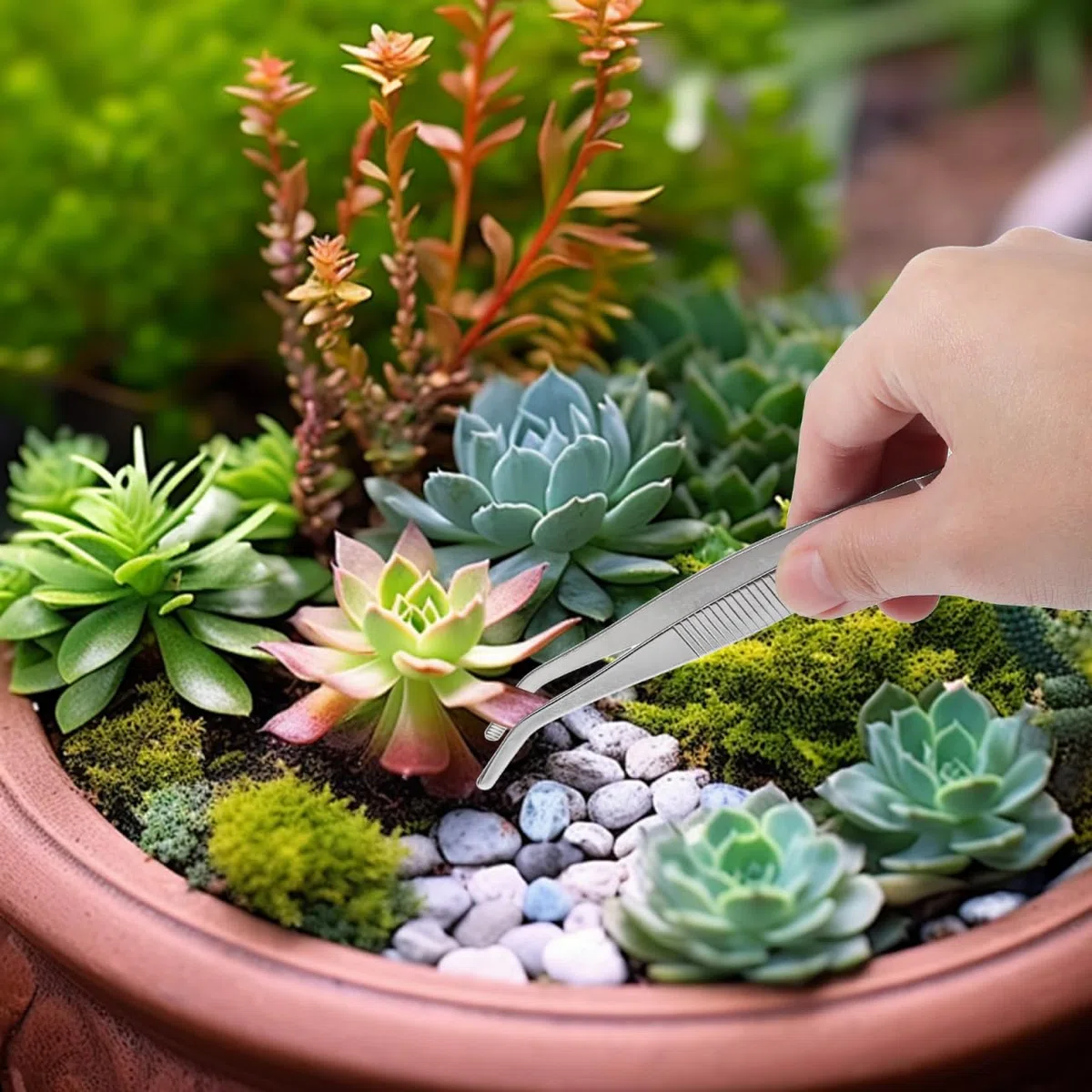 Happyyami 5 Pinzas De Acero Inoxidable Para Jardinería Suculentas Herramientas Manuales Compactas Para Bonsáis Micro Paisajismo Accesorios De Jardín