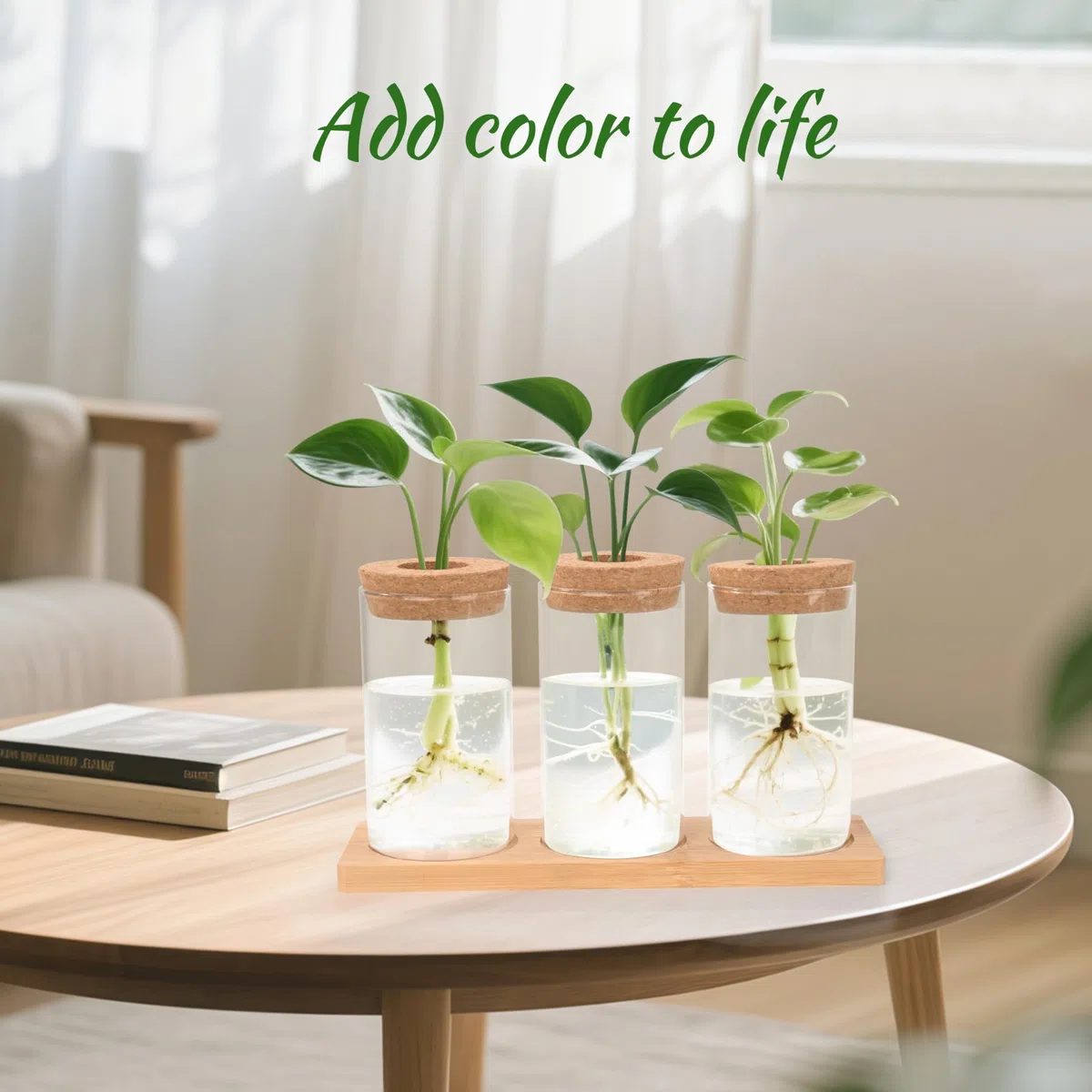 Estación de propagación de plantas macetas para plantas hidropónicas con corcho base de madera para casa oficina 3 piezas