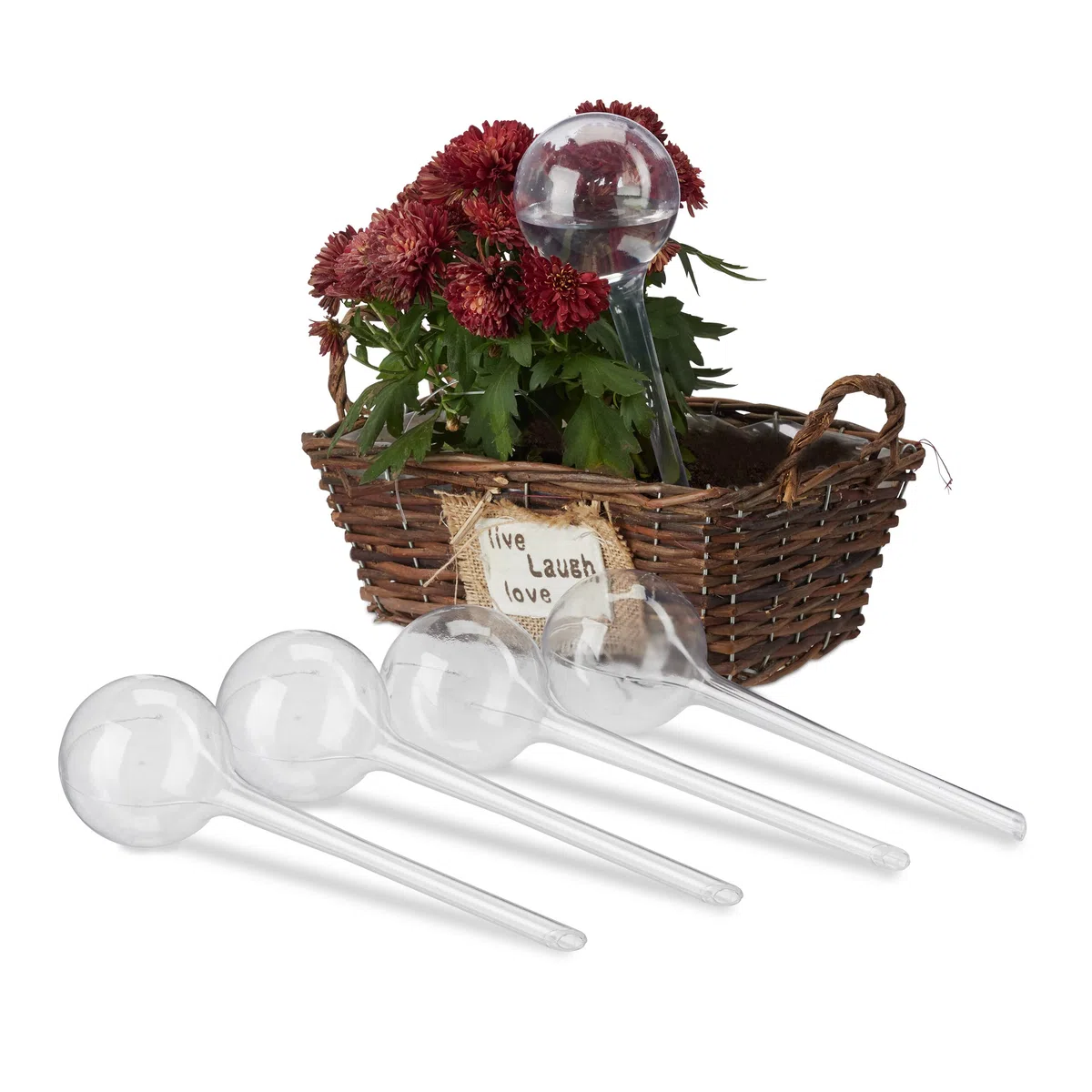 Relaxdays Juego 5 Globos Riego para Plantas Interior, Biberones Regar Flores, Plástico, 28x8cm, Transparente