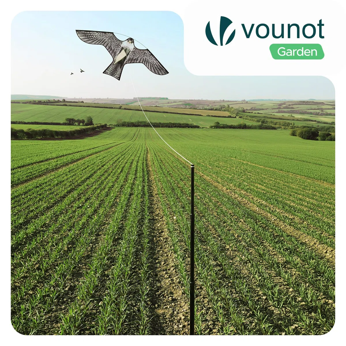 VOUNOT® Espantapájaros Cometa Voladora Cultivos Protector de Aves Halcón Ahuyentador Aves Palomas para Exterior Jardín Patio Granja Huerto Repelente Visual Pájaros con Poste Telesc. 4m y 2 Cometas A&G
