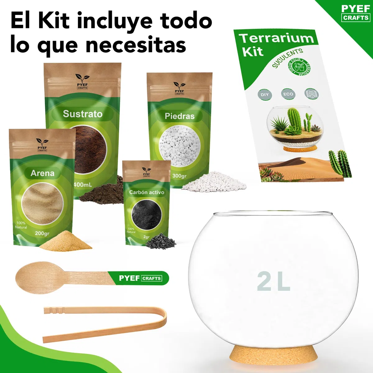 Kit Terrario Plantas Suculentas & Cactus DIY - Kit Terrario Cristal Ecosistema Desierto - Set Pecera para Plantas Suculentas & Cactus Naturales - Jardín Eterno Desértico (Sin Planta) (2L)
