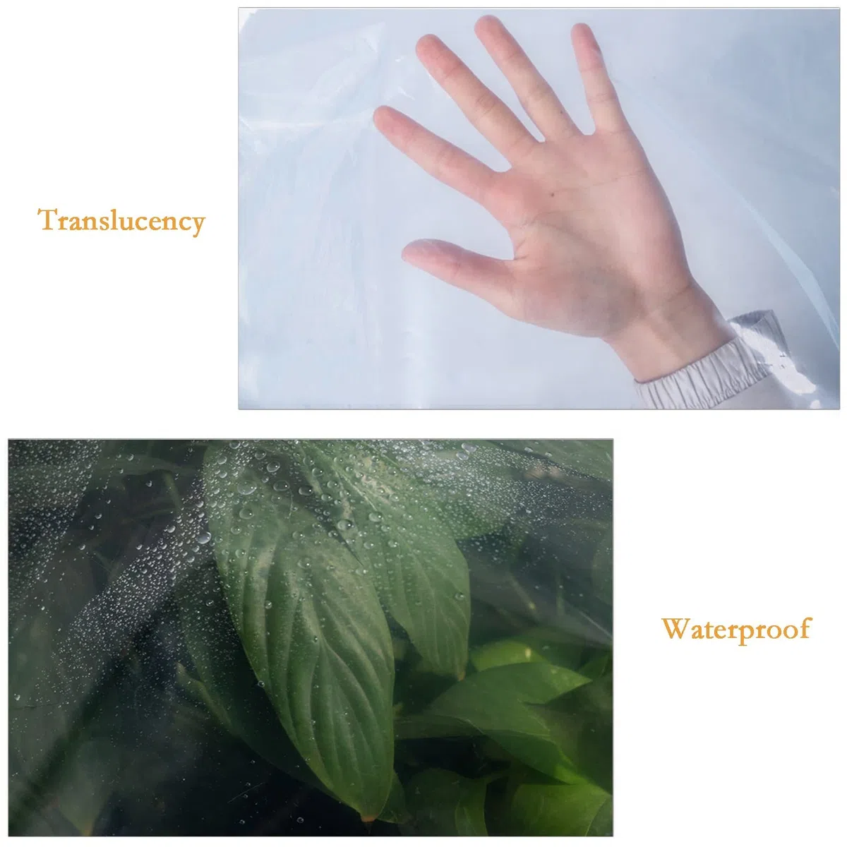 Lona Impermeable, Lonas Transparente con Ojales, Cubierta Funda de Protección Resistente al Desgarro para Plantas Invernadero Jardín Terraza (2X3M)