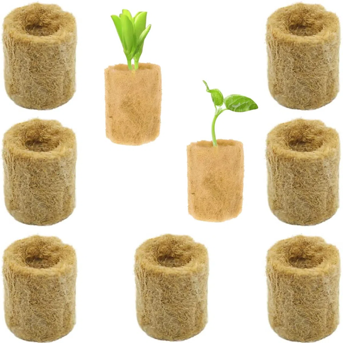Tapones de Plantas de Lana de Roca 50 Piezas Lana de Roca de Cultivo Hidropónico Tapones de Arranque de Lana de Roca Tapones de Plantas de Lana de Roca Hidropónicos Cubos de Lana de Roca