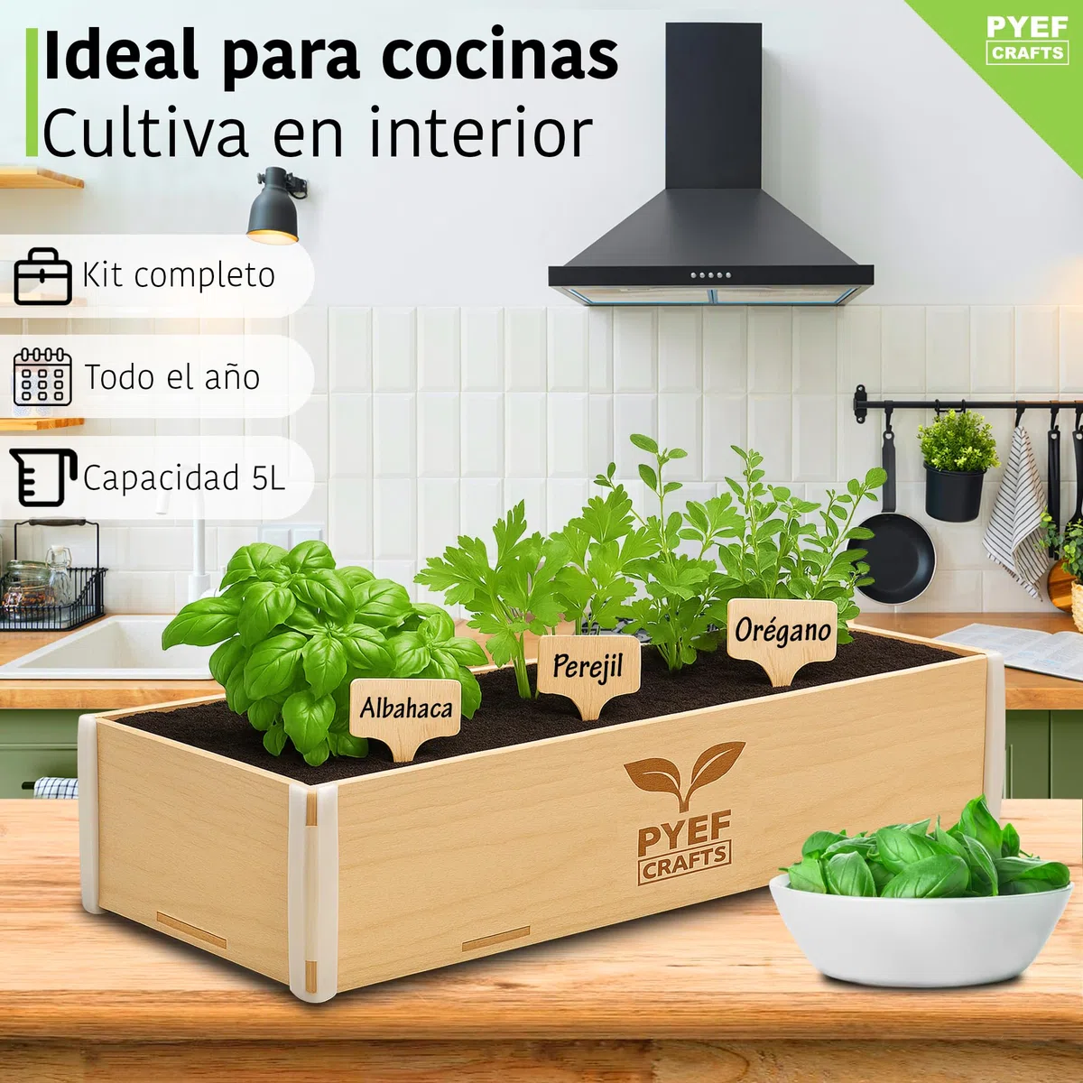 Huerto Urbano Hierbas Aromáticas - Kit Plantas Aromáticas Interior con Semillas de Orégano, Albahaca, Perejil y Cilantro - Caja de Madera - Kit Semillas Plantas Culinarias para Casa