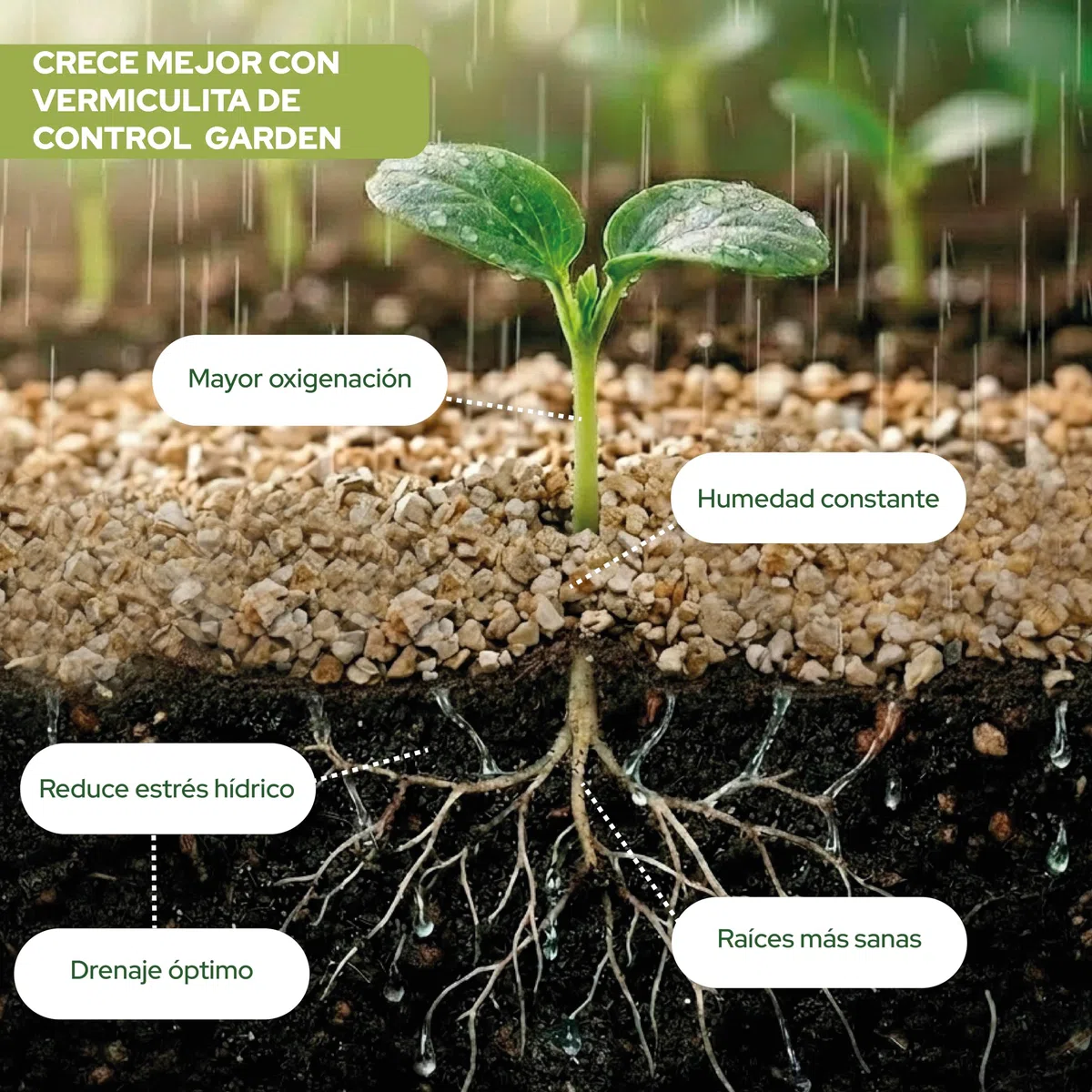 Control Garden Vermiculita 20L | Tierra para Plantas y Cultivos Interior y Exterior | Sustrato Natural para Semillas | Fabricado en España
