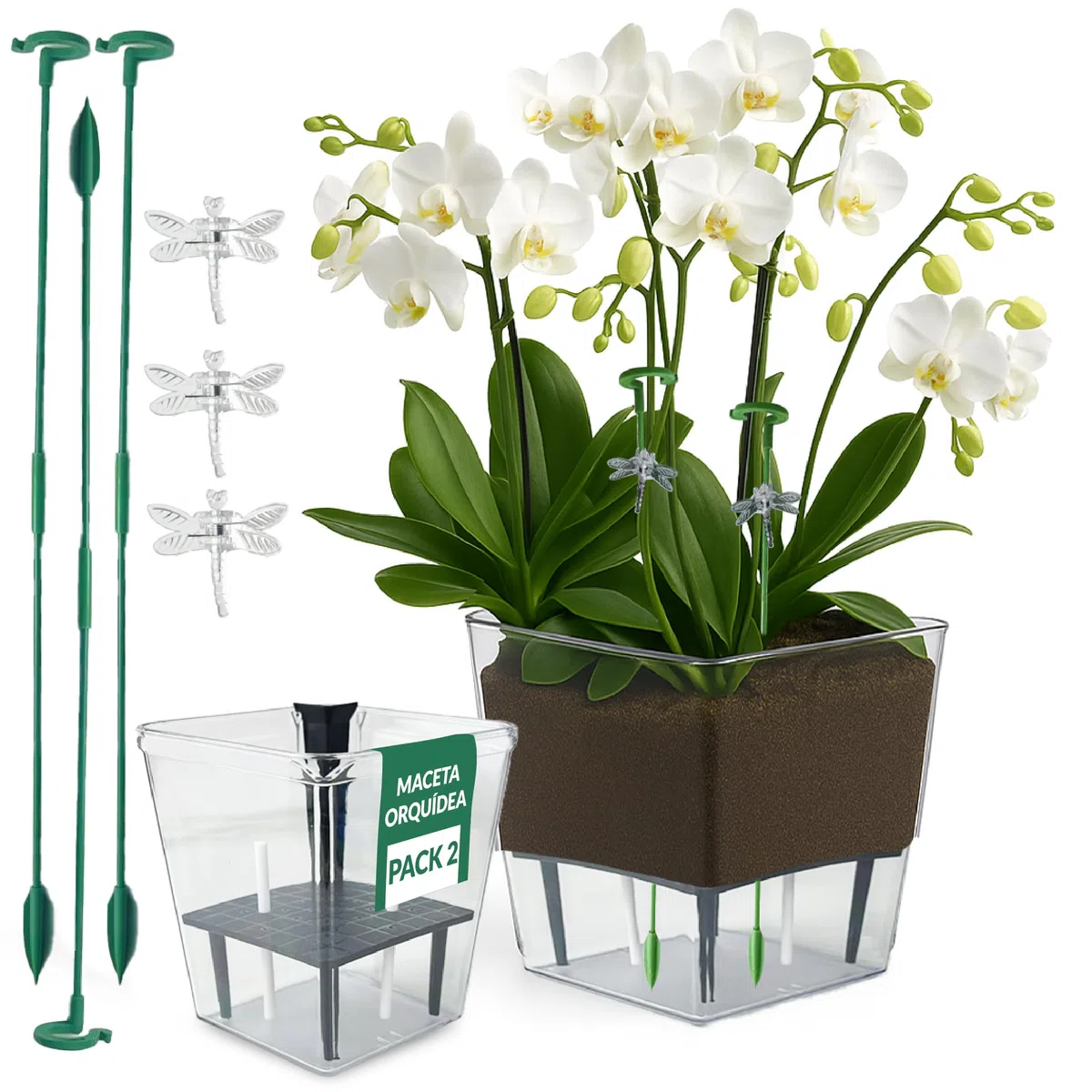 Pau's Shop Pack de 2 Maceta Orquídea con Sistema Autorriego – Maceta Grande (10 x 15 cm) y Pequeña (7.5 x 11 cm) – Macetas Decorativas Interior - Macetero orquídeas Transparente Macetas Plástico