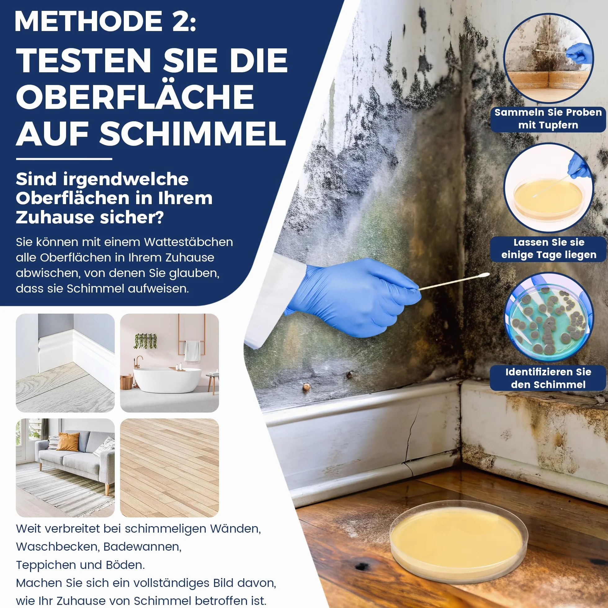 Kit de prueba de moho para el hogar – Prueba de moho para 5 habitaciones – Kit de prueba rápida de moho para la calidad del aire interior – Incluye guía de identificación e instrucciones (idioma