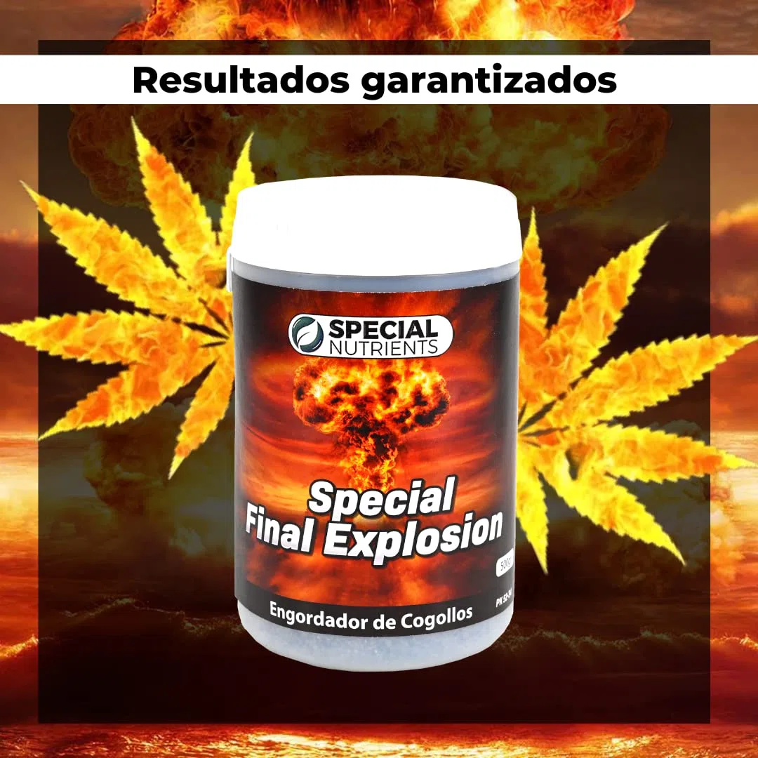 Special Nutrients - Cogollador Revienta tu Cosecha - Engorde Masivo Flores Rápido y de Calidad - Abono Explota Cogollos Pk 52-34 (250gr)