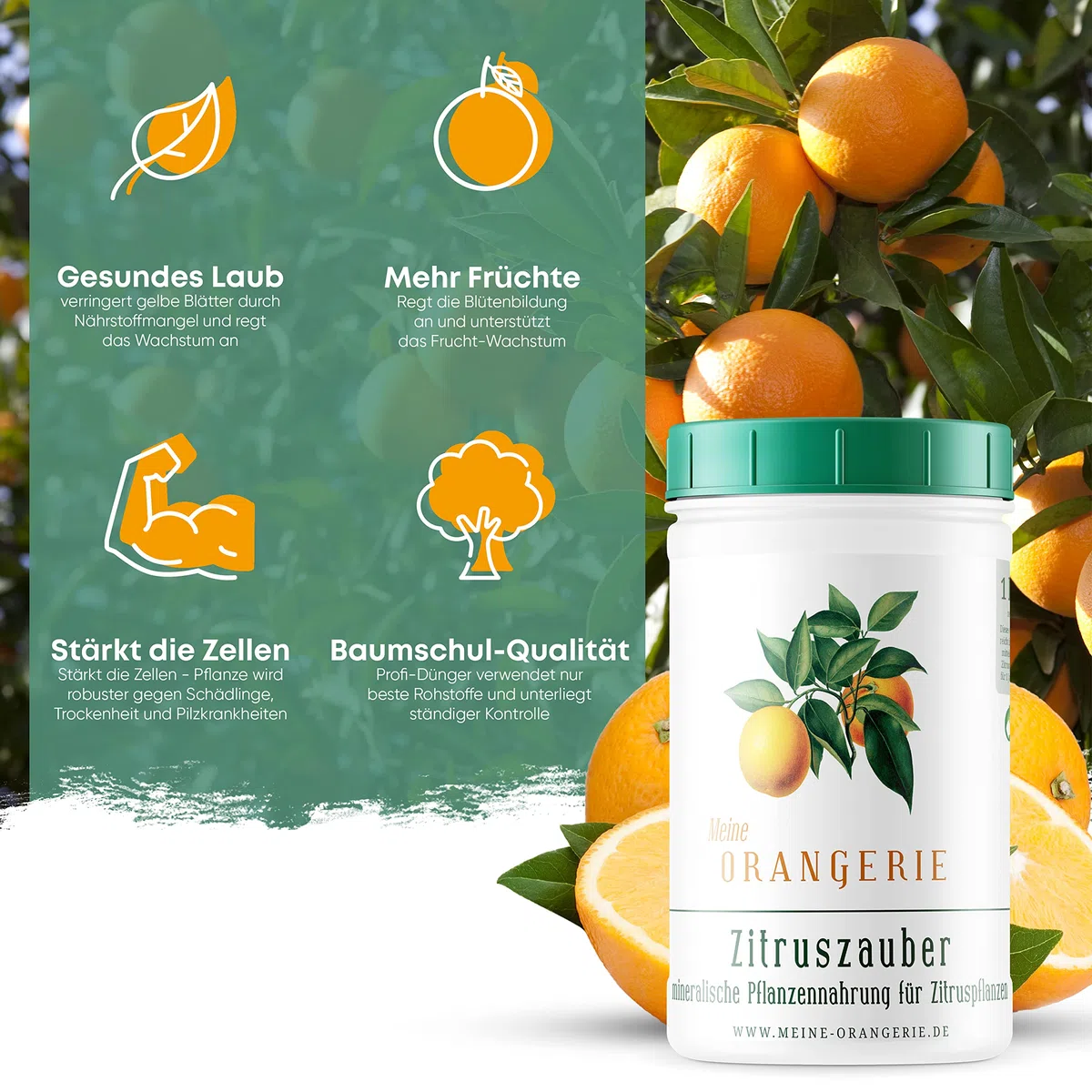 Meine Orangerie Fertilizante cítrico para todas las plantas cítricas [1 kg] – Abono para plantas premium – Fertilizante profesional cítrico para limonero, naranjo, lima y muchos más (1000 gramos)