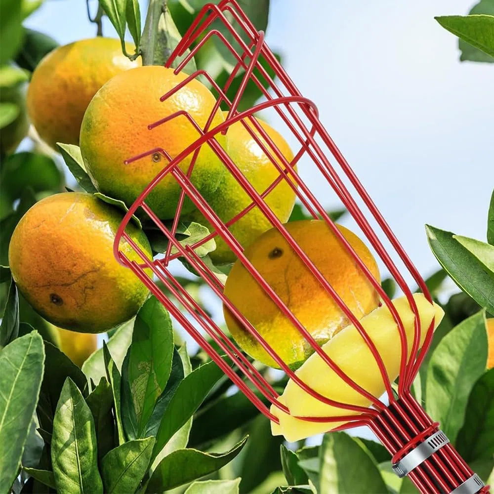 NAVESO Recogedor de Frutas, 4m Recoge Frutas Telescopico, Recogedor de Manzanas, Recoge Frutas de Árboles para Manzanas, Naranjas, Peras