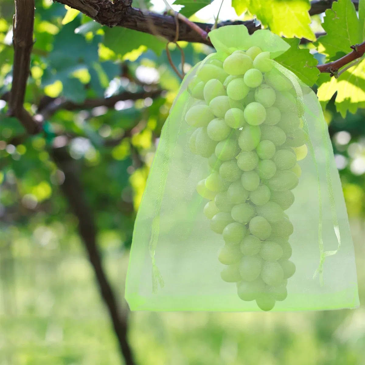 100 Piezas Bolsas Protectoras para Uvas, 20 x 30 cm Bolsa de Protección de Frutas, Bolsa de Organza con Cordón, para Proteger contra Pájaros, Avispas y Otros Insectos (Verde Claro)