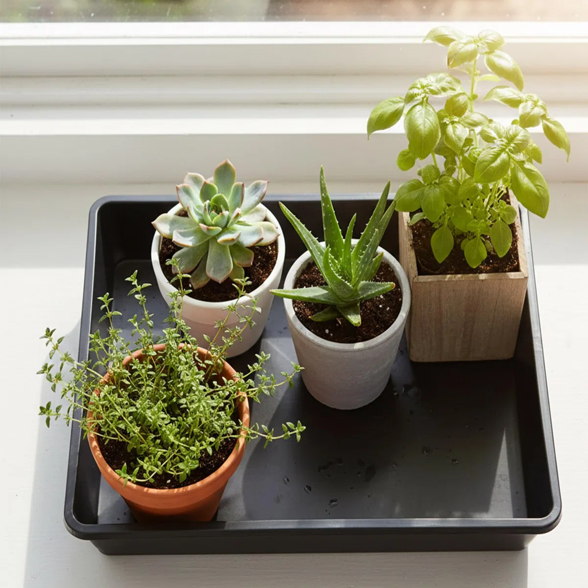 Platillos Cuadrados para Plantas Plato Plástico para Maceteros 30 x 30 cm Paquete de 4 Bandeja de Goteo de Agua de plástico, Macetas para Interior Exterior Jardín Terraza balcón