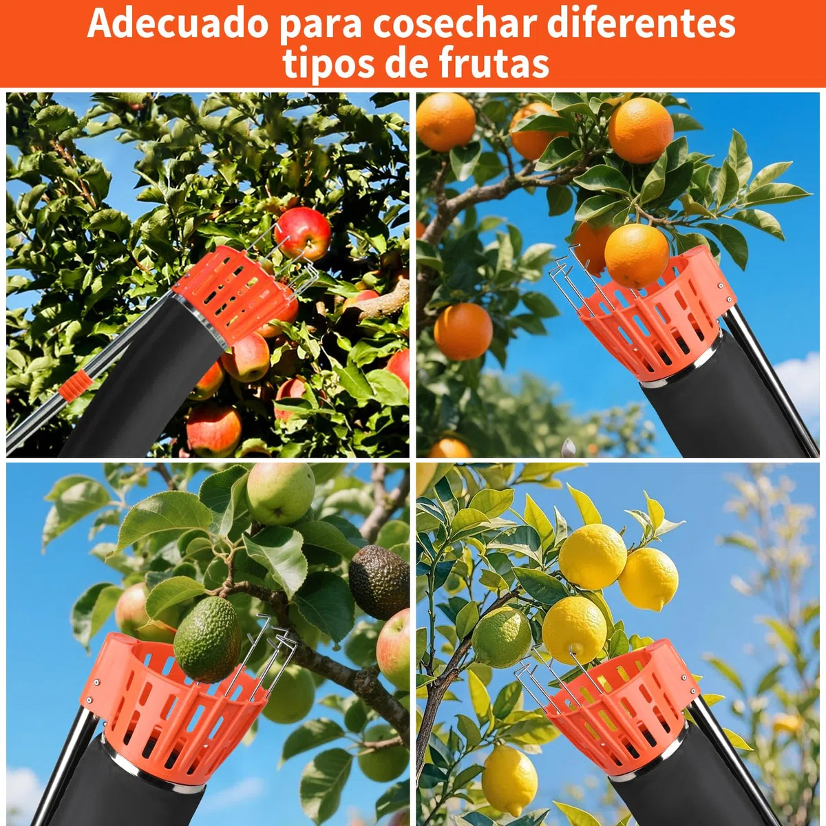 Recolector de Fruta Raccogli Frutta Telescopico Raccogli Ciliegie Telescopico Recogedor de Frutas con Varillas de Extensión Recolectoras para Manzanas 3.78M