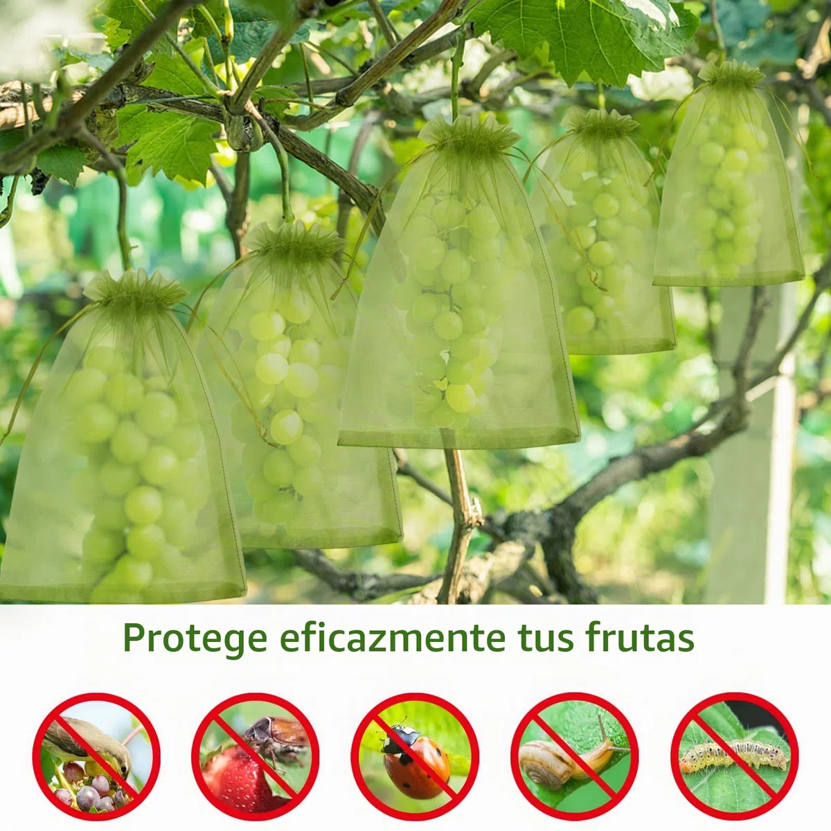 Bolsa de Protección de Uvas, 100 Piezas Bolsa de Protección de Frutas, Bolsas de Organza con Cordón 30cm x 20cm para Proteger Los Racimos de Uvas de Avispones y Antipajaros(Verde Oscuro)