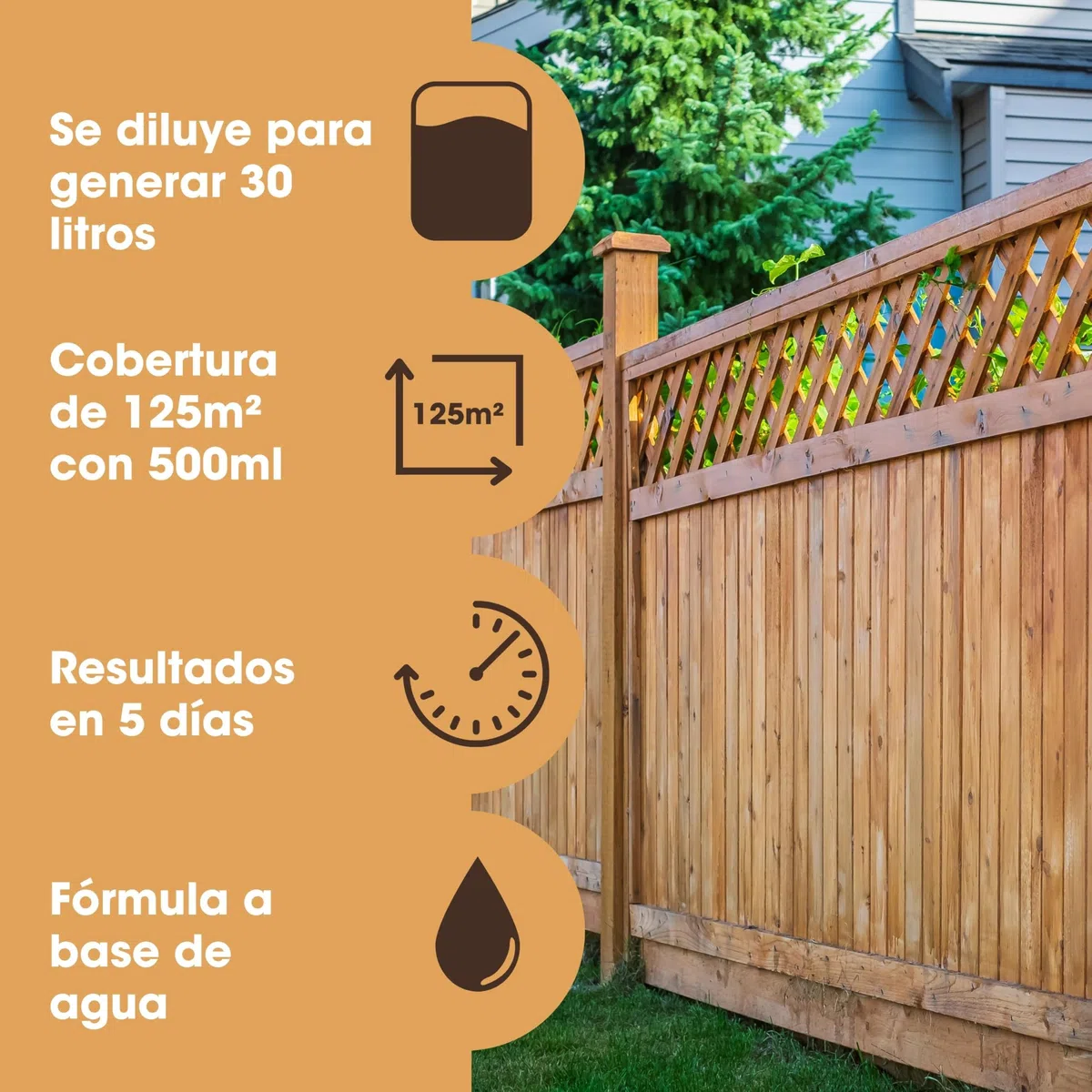 Furniture Clinic Removedor de crecimiento verde - Elimina todo el crecimiento verde de terrazas, vallas, patios, calzadas, techos y paredes