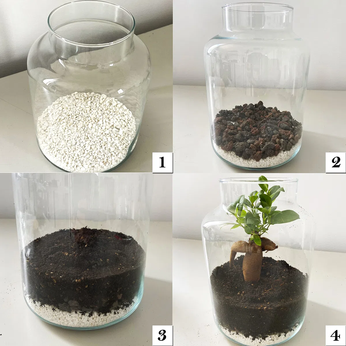 Kit Terrario Plantas DIY sin Plantas Naturales - Botella de Vidrio con Tapa de Corcho, Sustrato Natural, Piedras Blancas y Piedras Volcánicas - Jardín en Botella Decorativo para Interior