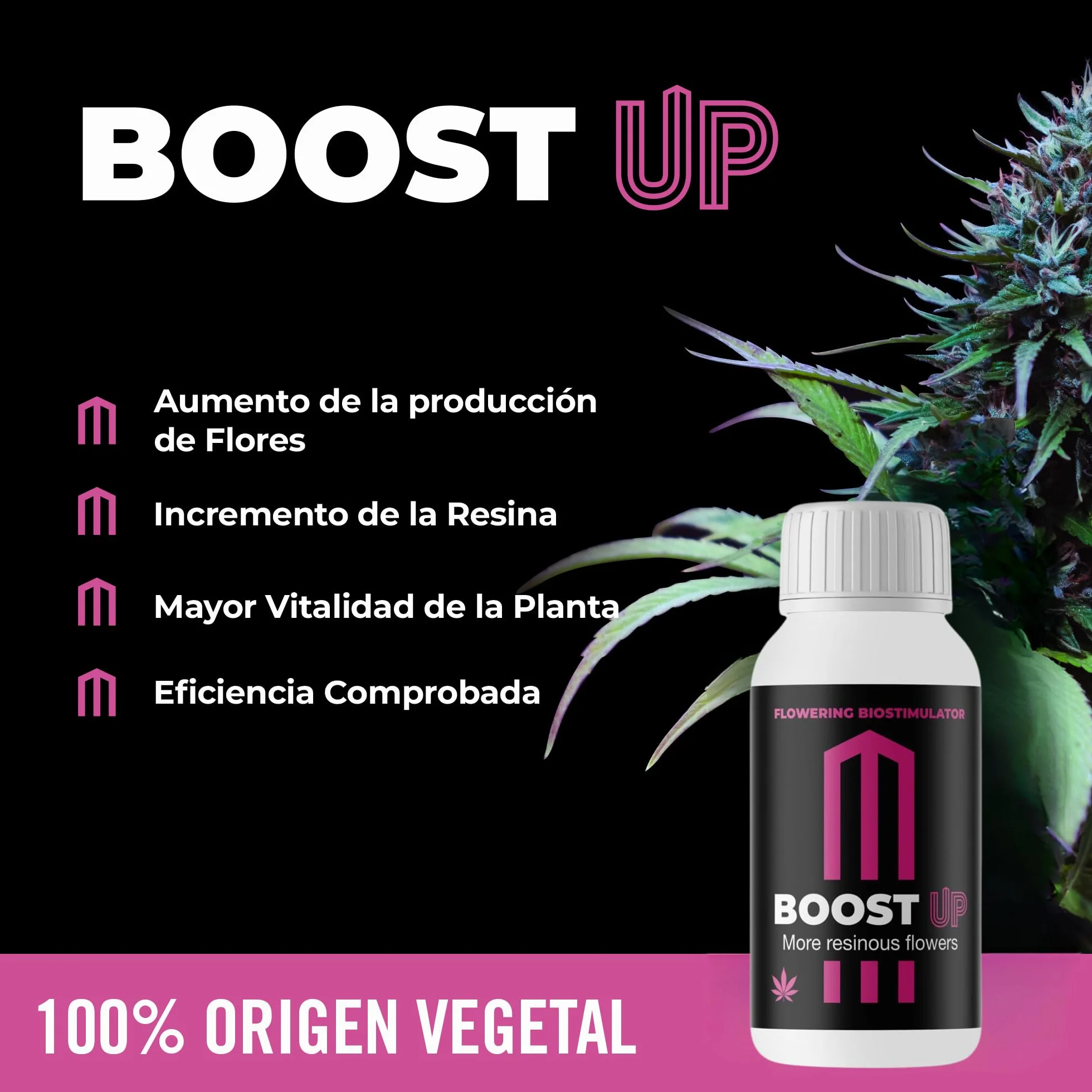 GROWMANIA Bio Down de BioBizz 1L + Muestra Boost Up de Up Nutrients + Vaso Medidor | Regulador de PH Orgánico | Perfecto para Huertos y Jardines Medianos