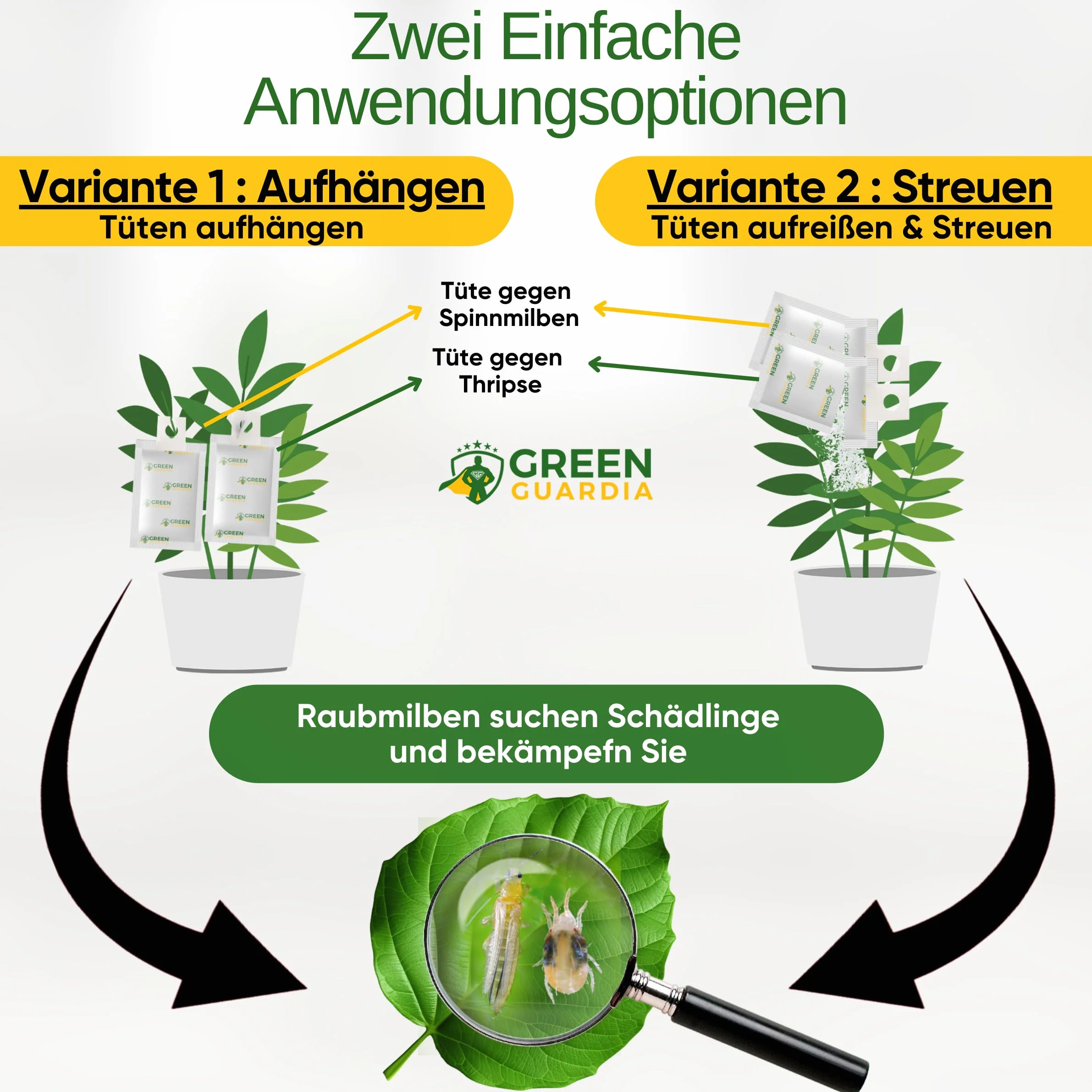 GREEN GUARDIA Power mezcla de ácaros depredadores contra trips y ácaros, 5 mezcla con 10 bolsas, agente biológico para un control eficaz de trips, respetuoso con el medio ambiente, medios libres de