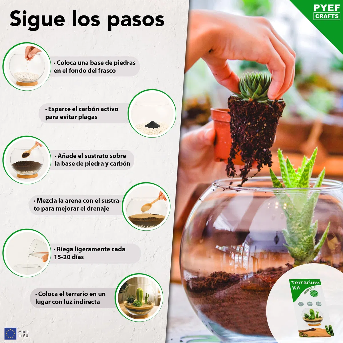 Kit Terrario Plantas Suculentas & Cactus DIY - Kit Terrario Cristal Ecosistema Desierto - Set Pecera para Plantas Suculentas & Cactus Naturales - Jardín Eterno Desértico (Sin Planta) (2L)