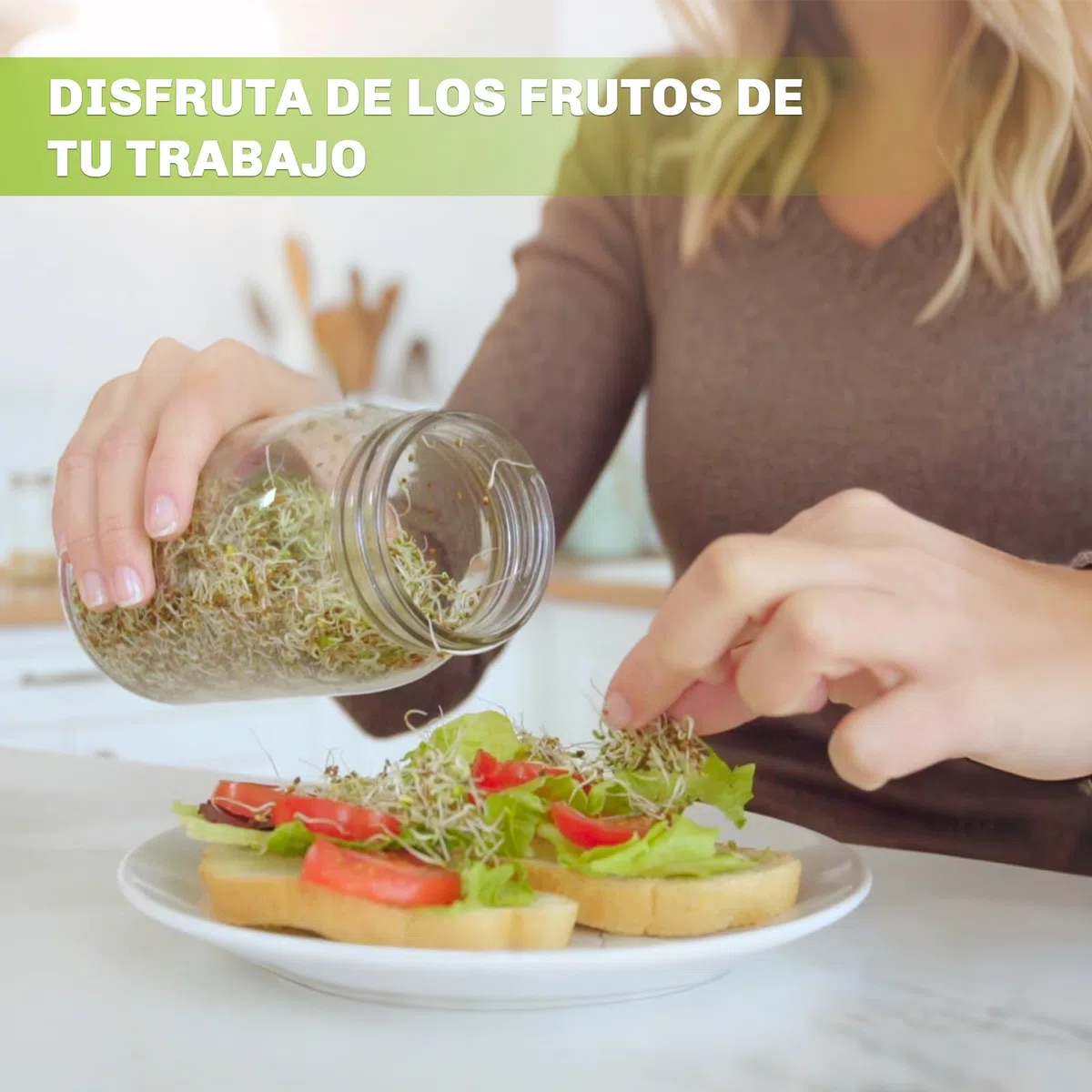Kit de Tarros de Germinación, Kit de Brote de Semilla con 2X 750ml Frascos de Germinación, 2X Soporte, 1x Bandeja,2 Filtros de Acero Inoxidable, para Cría de Brotes
