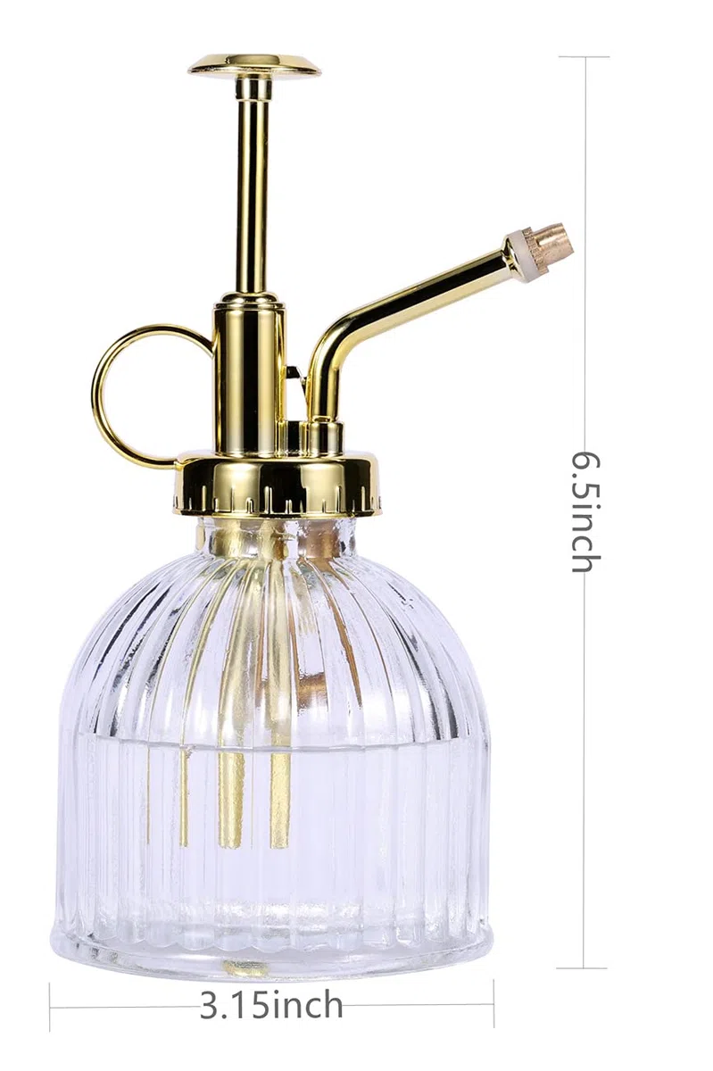 Eidoct Botella de spray de cristal Mister para plantas de vidrio, rociador de plantas pequeñas para plantas de interior y exterior, transparente+oro (transparente+oro A)